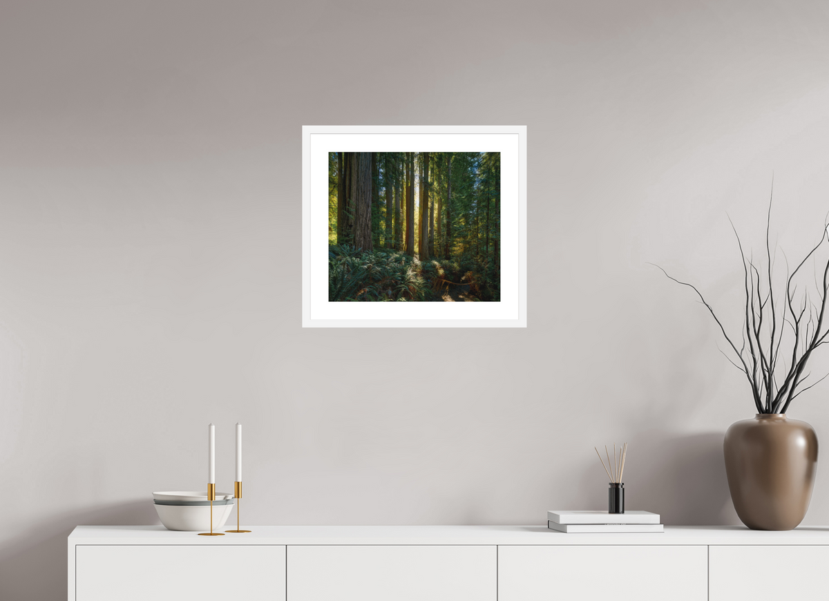 18.3 x 16″, Passe-Partout White Frame Gateway