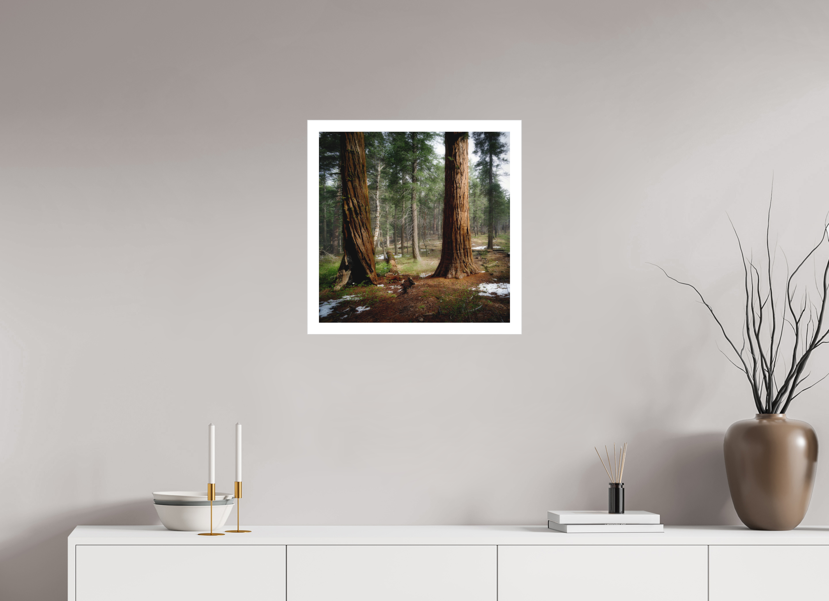 20 x 20″, Bonded Acrylic Mat + Silver Frame Northern Sentinels II: The Placer County Sequoias