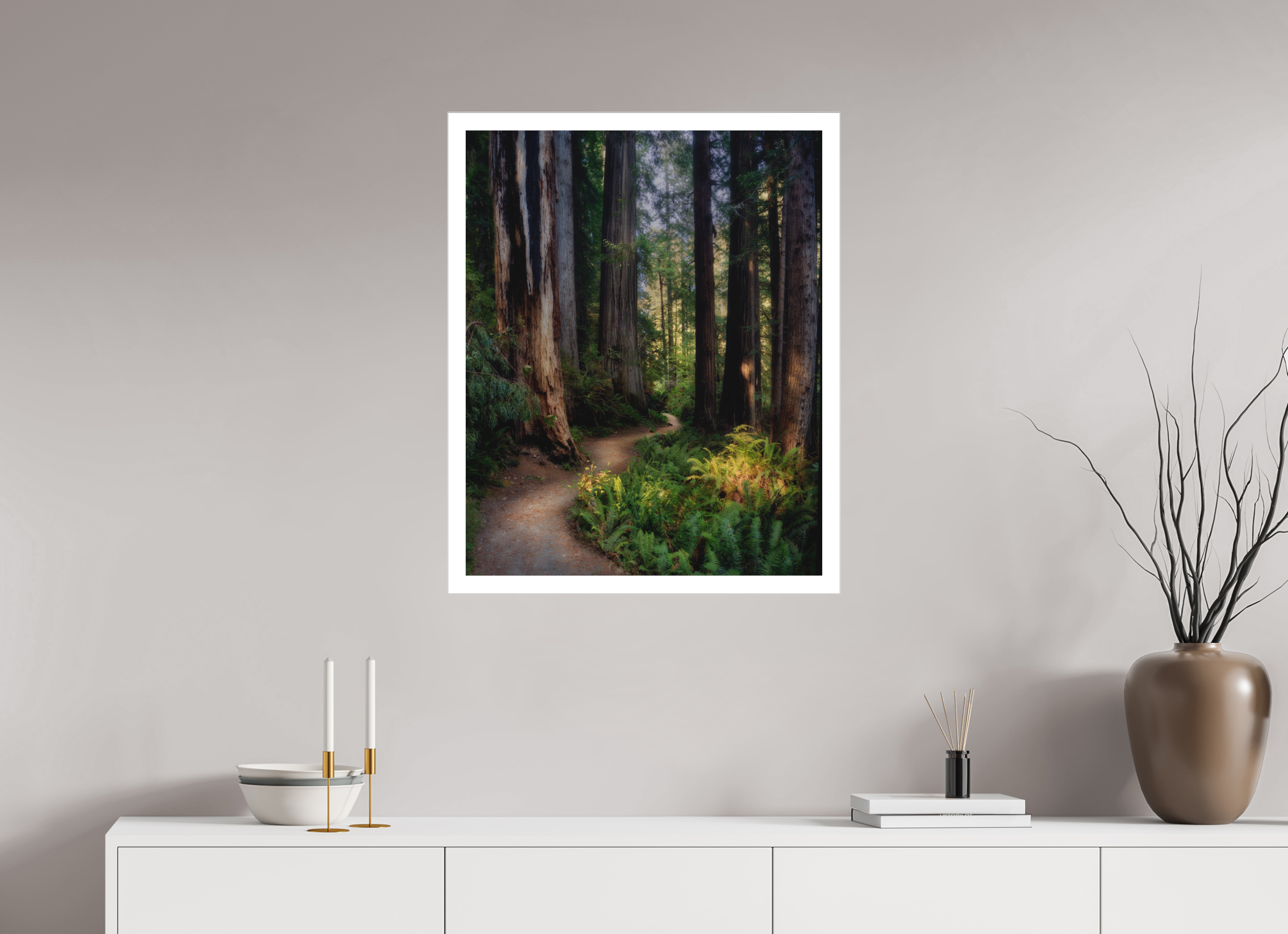 24 x 30″, Fine Art Bonded Acrylic Prairie Creek Redwoods Pathway