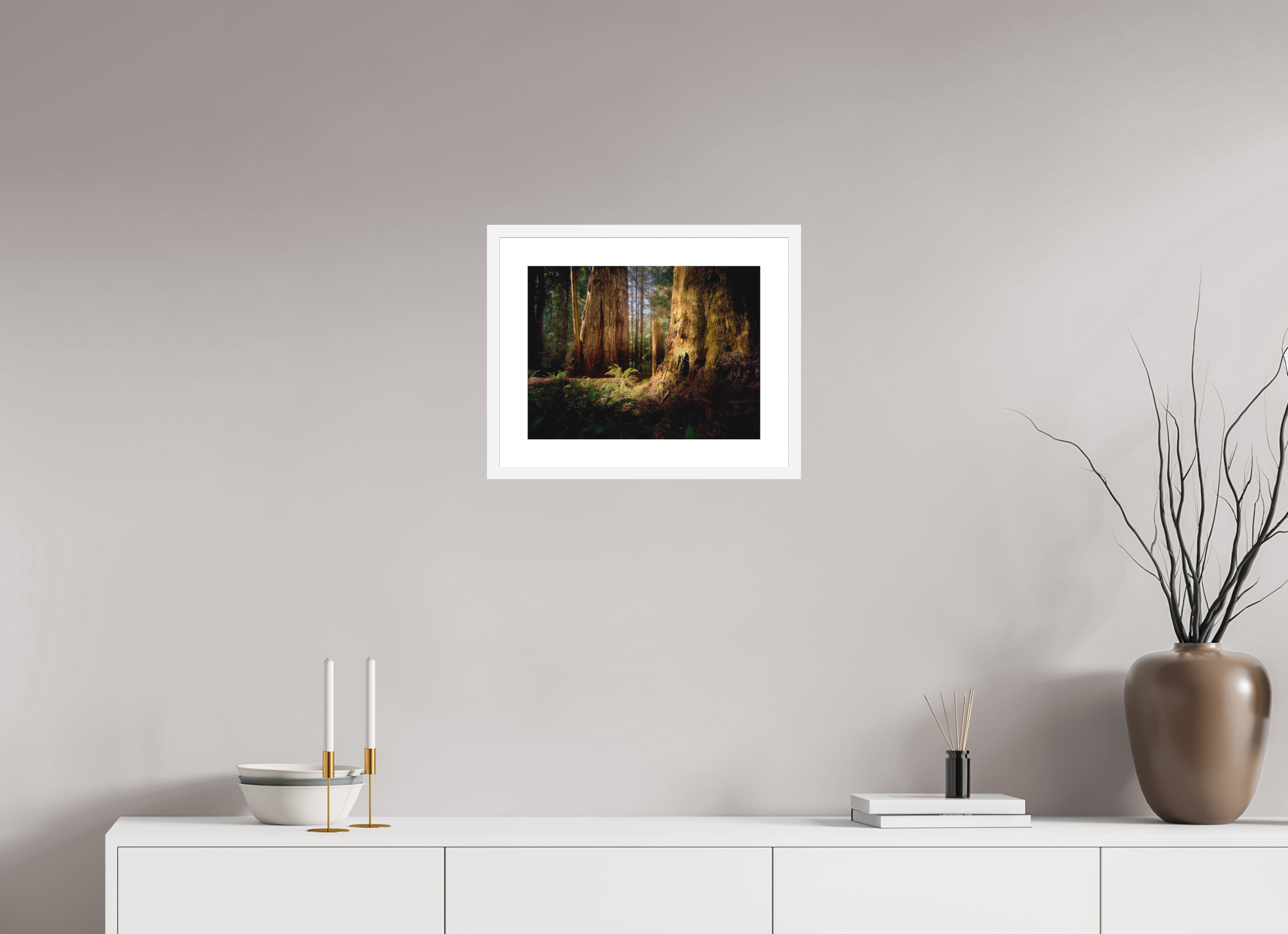 16 x 12″, Passe-Partout White Frame Parvus: A Redwood Perspective