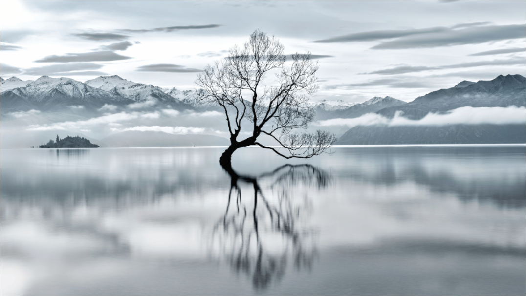 Main image Wanaka III: Almost Monochrome