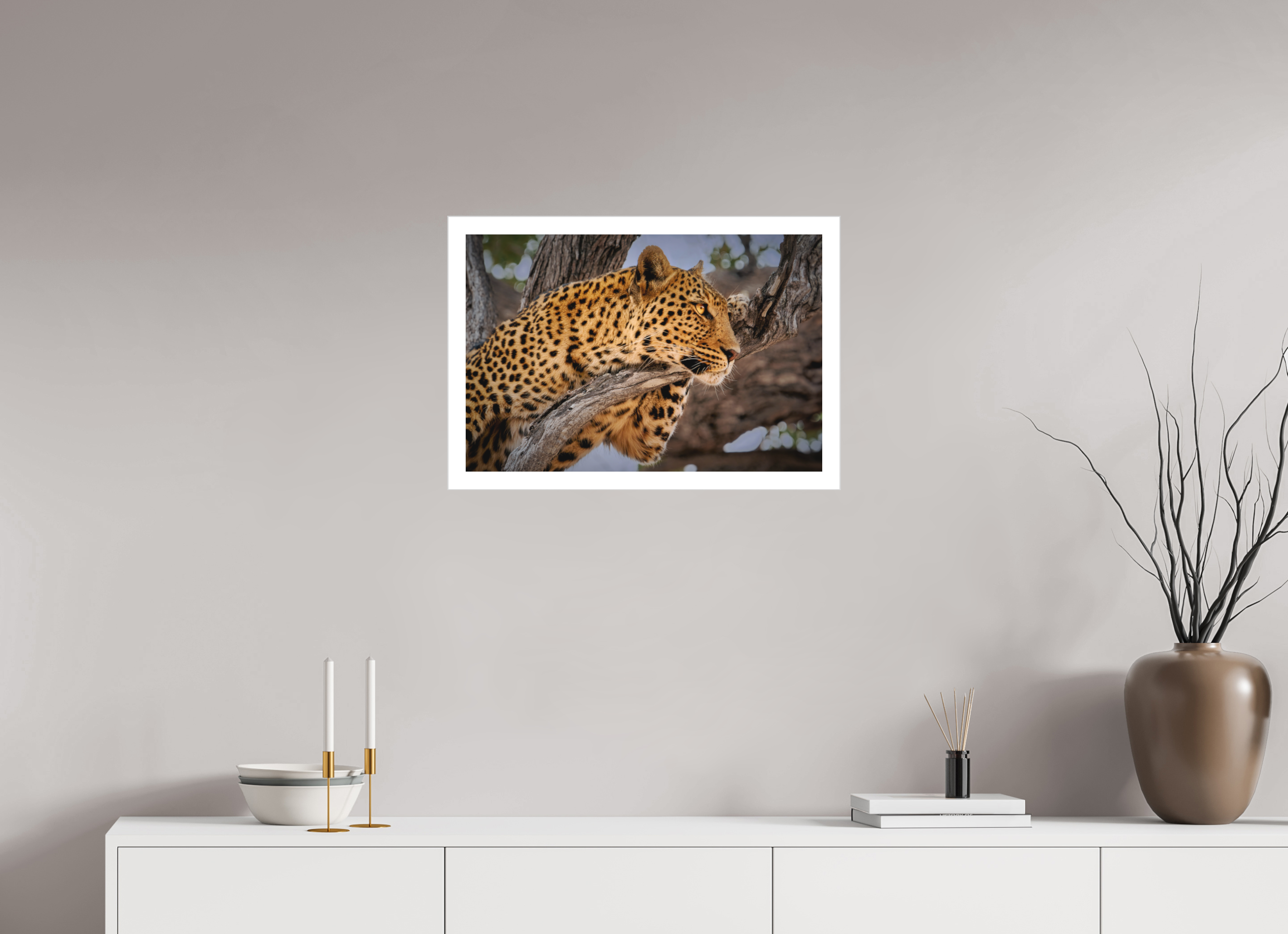 24 x 16″, Fine Art Bonded Acrylic Leopard Princess of Savute