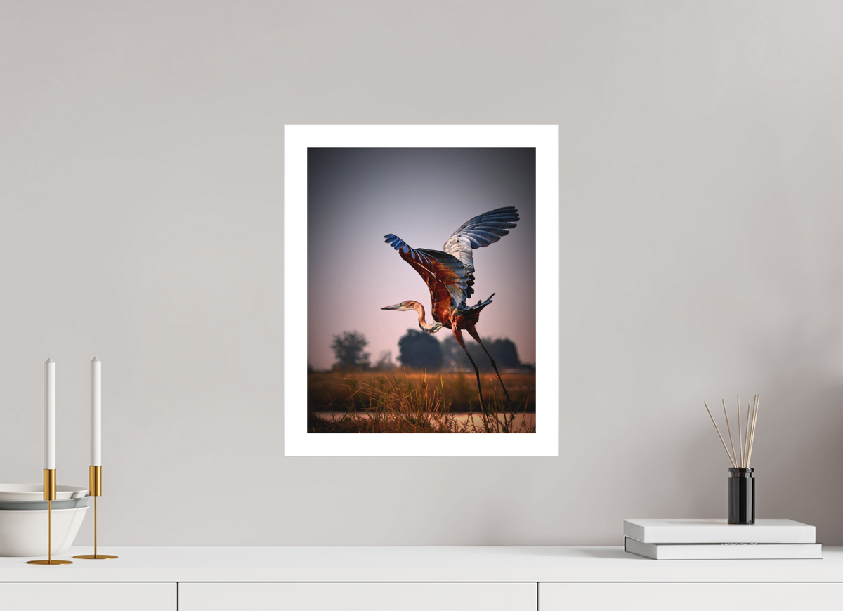 12 x 15″, Bonded Acrylic Mat + Silver Frame Goliath Heron Takes Flight on the Chobe River