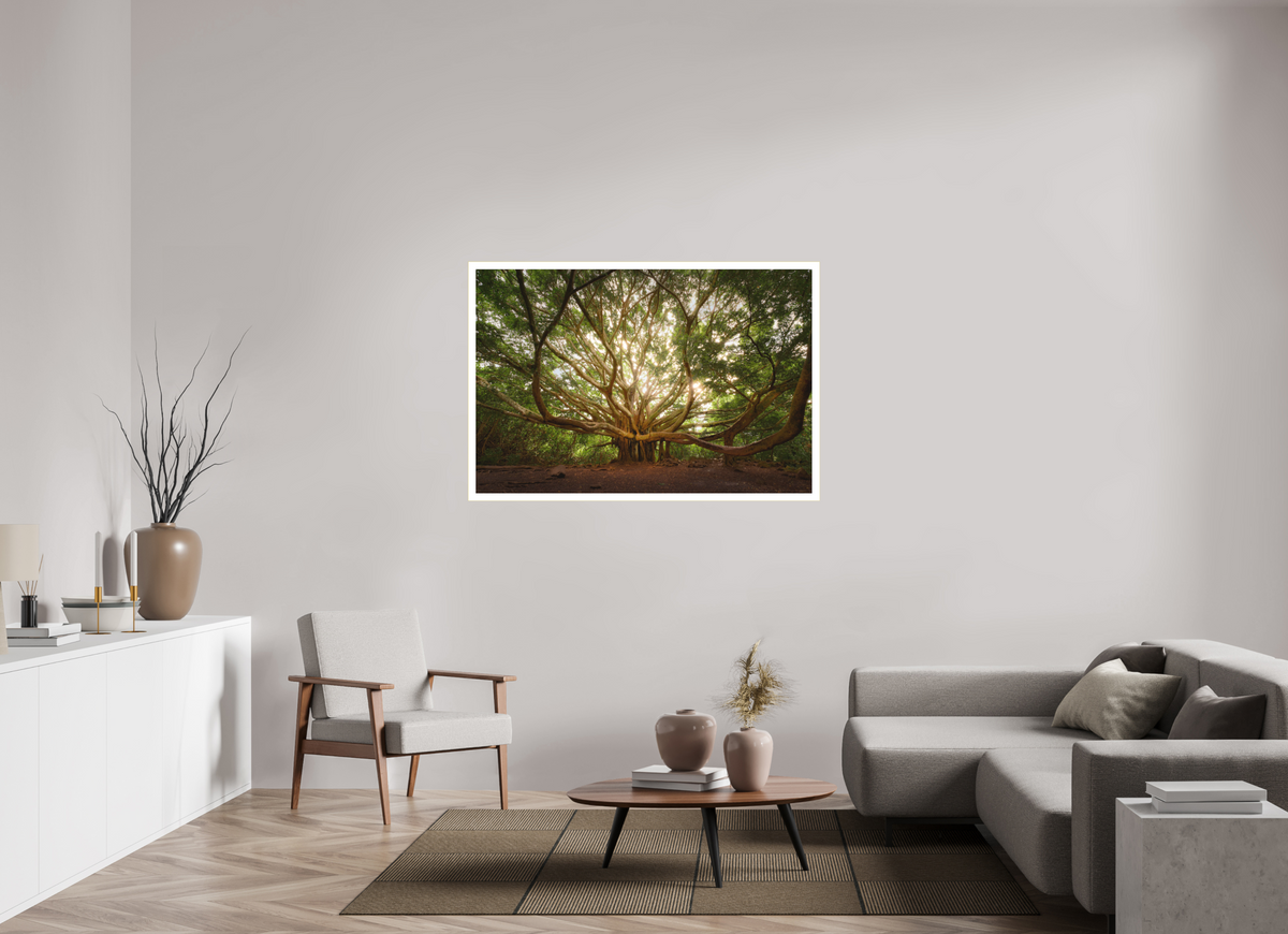 54 x 36″, Bonded Acrylic Mat + Gold Frame Bracchium: The Pipiwai Trail Banyan Tree