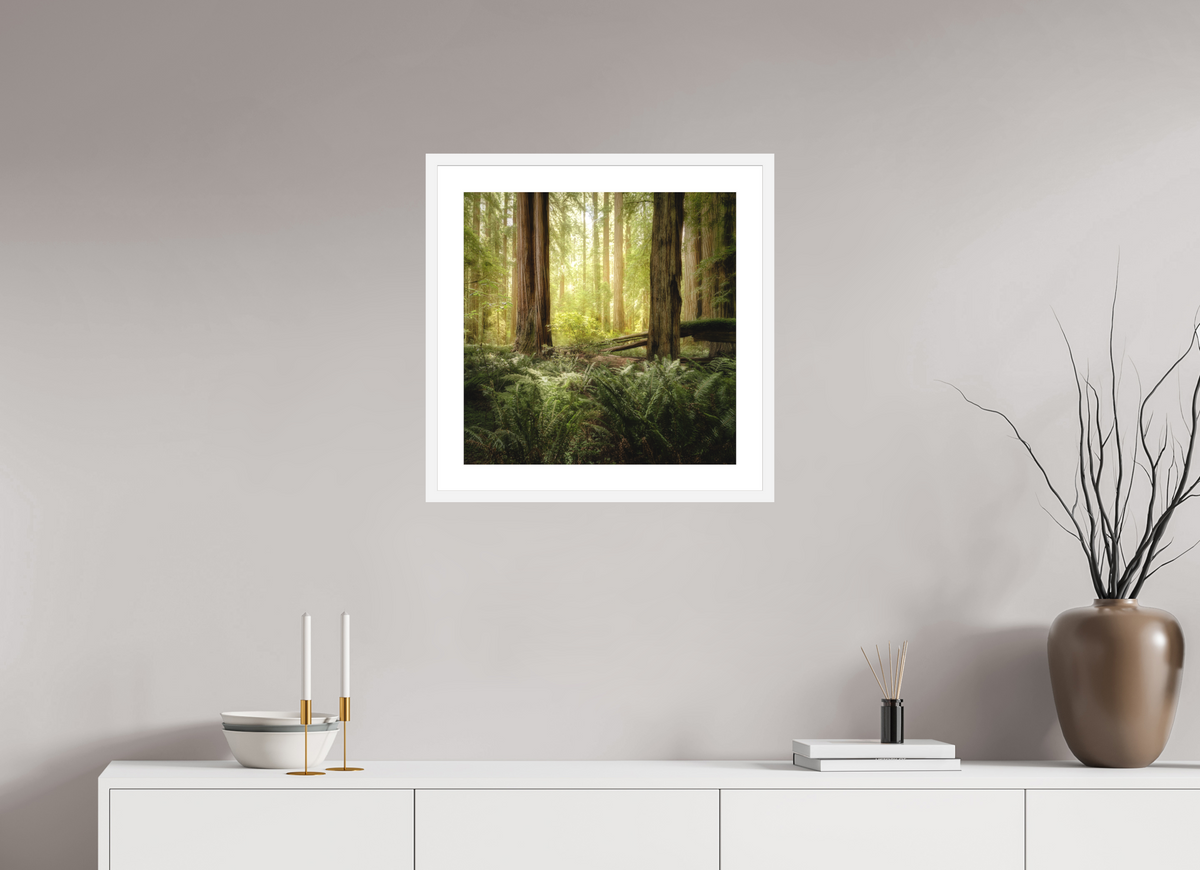 20 x 20″, Passe-Partout White Frame Lux Armarium: Stout Grove