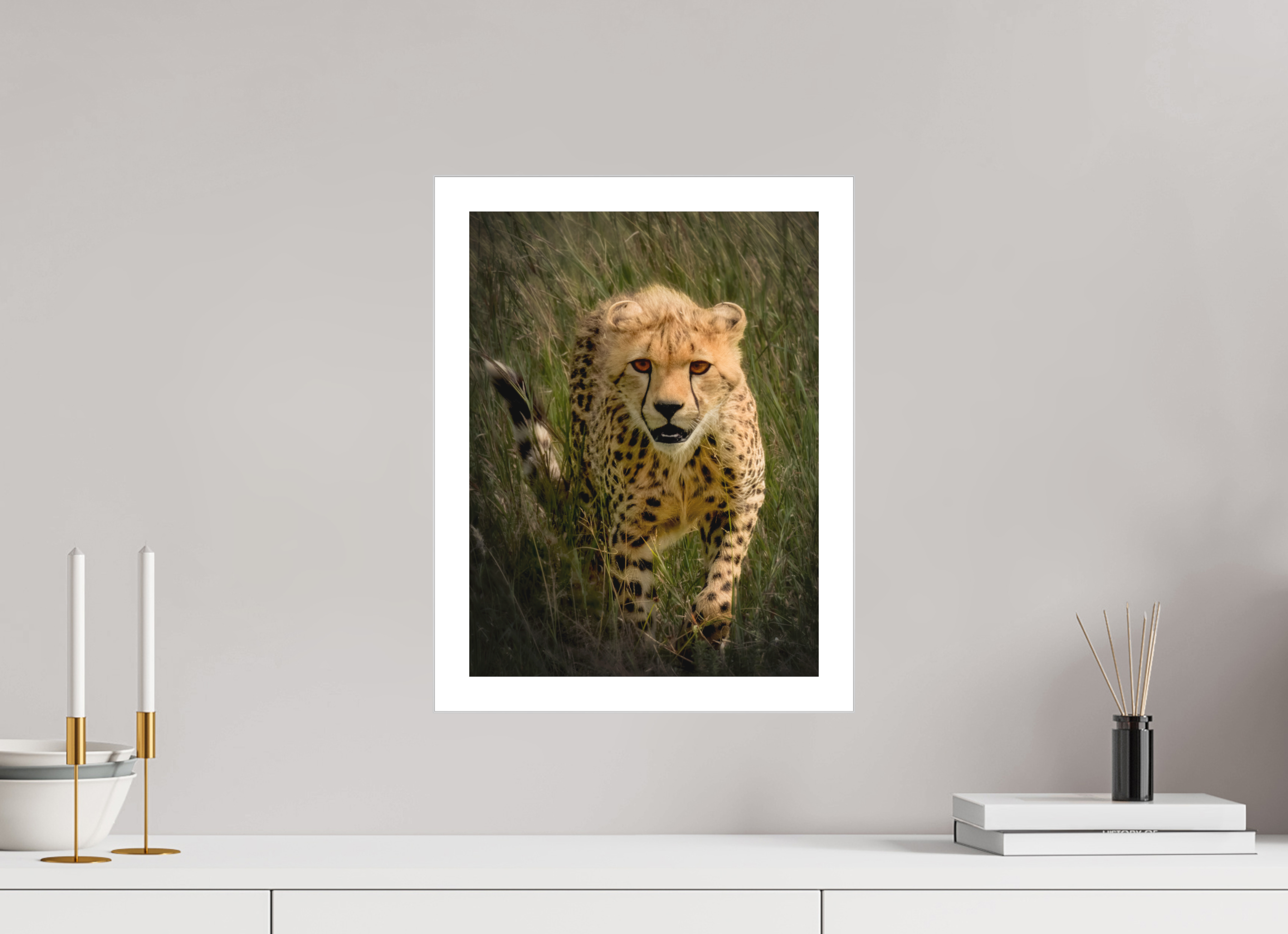 12 x 16″, Fine Art Bonded Acrylic Stalking Cheetah