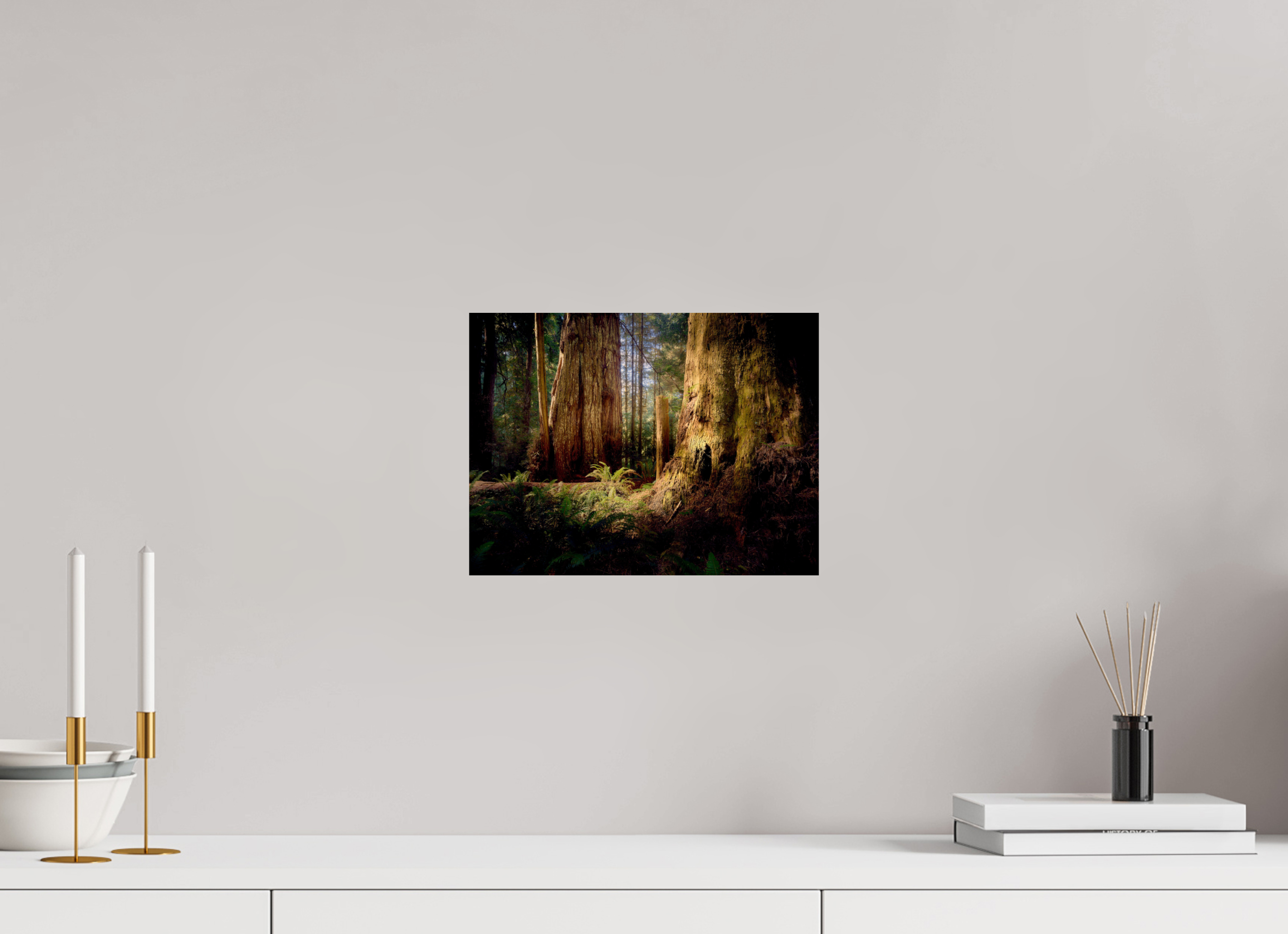 12 x 9″, Giclée Alu-Dibond Parvus: A Redwood Perspective