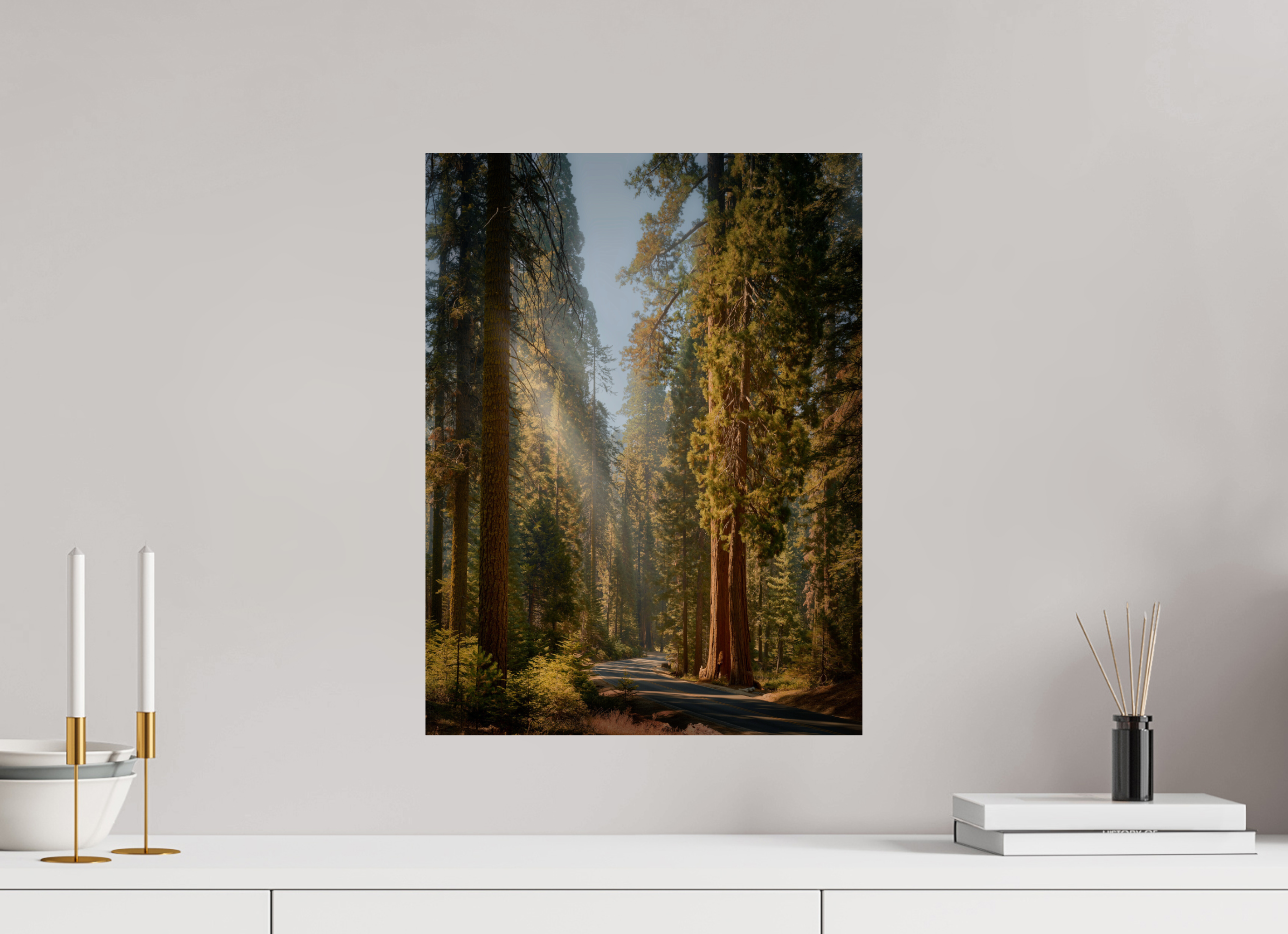 15 x 20″, Giclée Alu-Dibond The Generals Highway II: Sequoia National Park