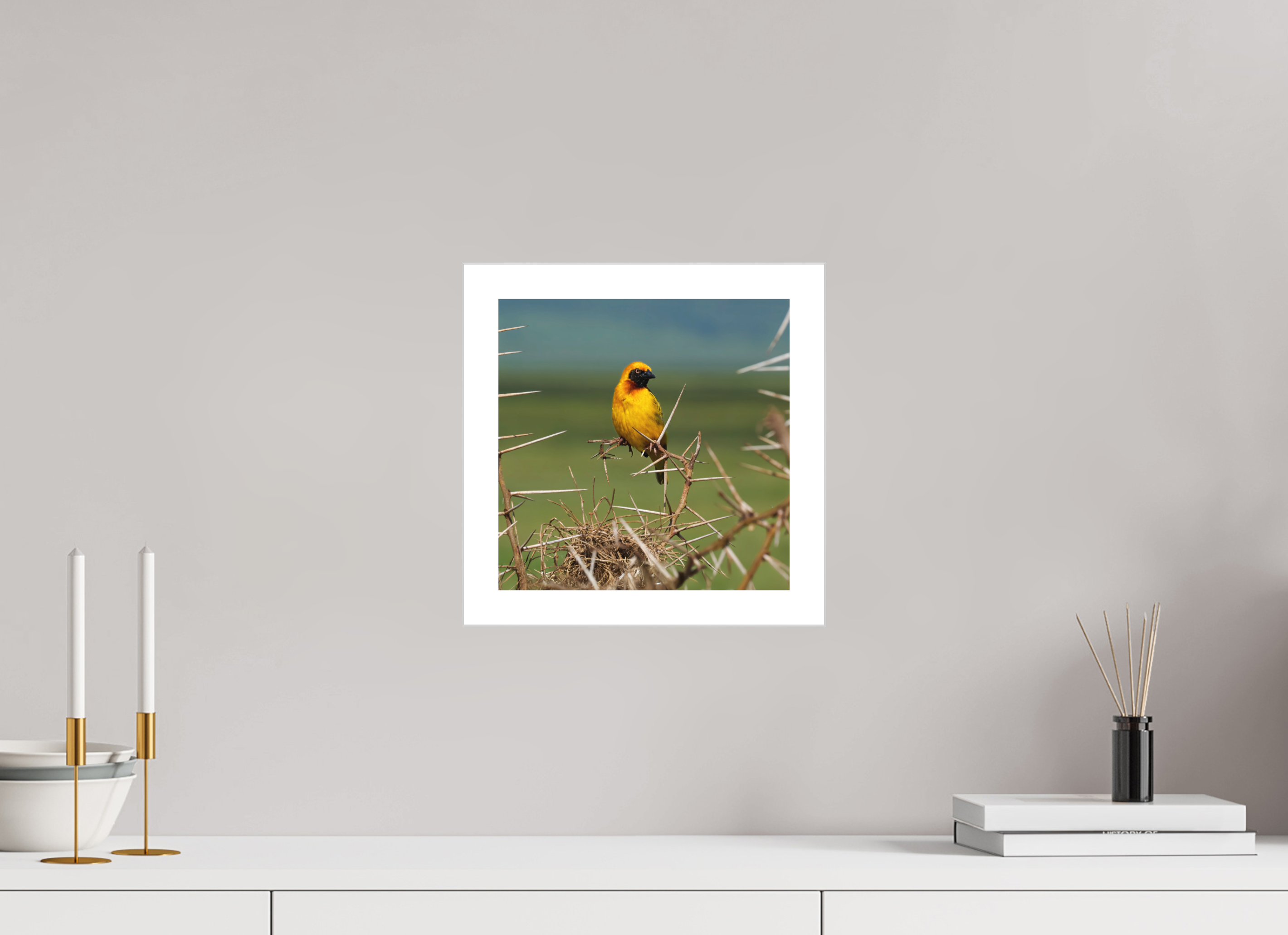 10 x 10″, Fine Art Bonded Acrylic Afrcan Golden Weaver
