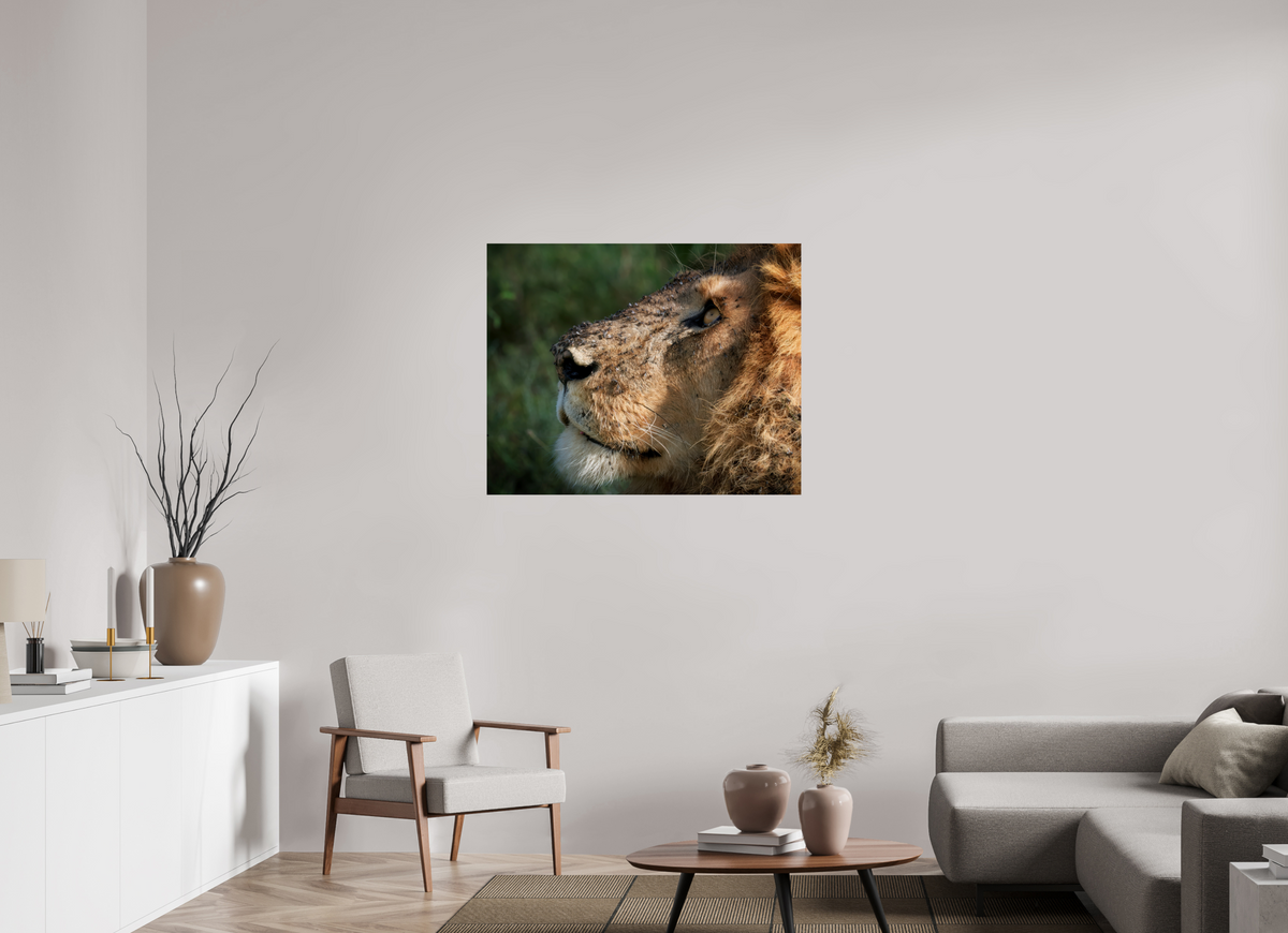 40 x 32″, Giclée Alu-Dibond The King of Most Beasts