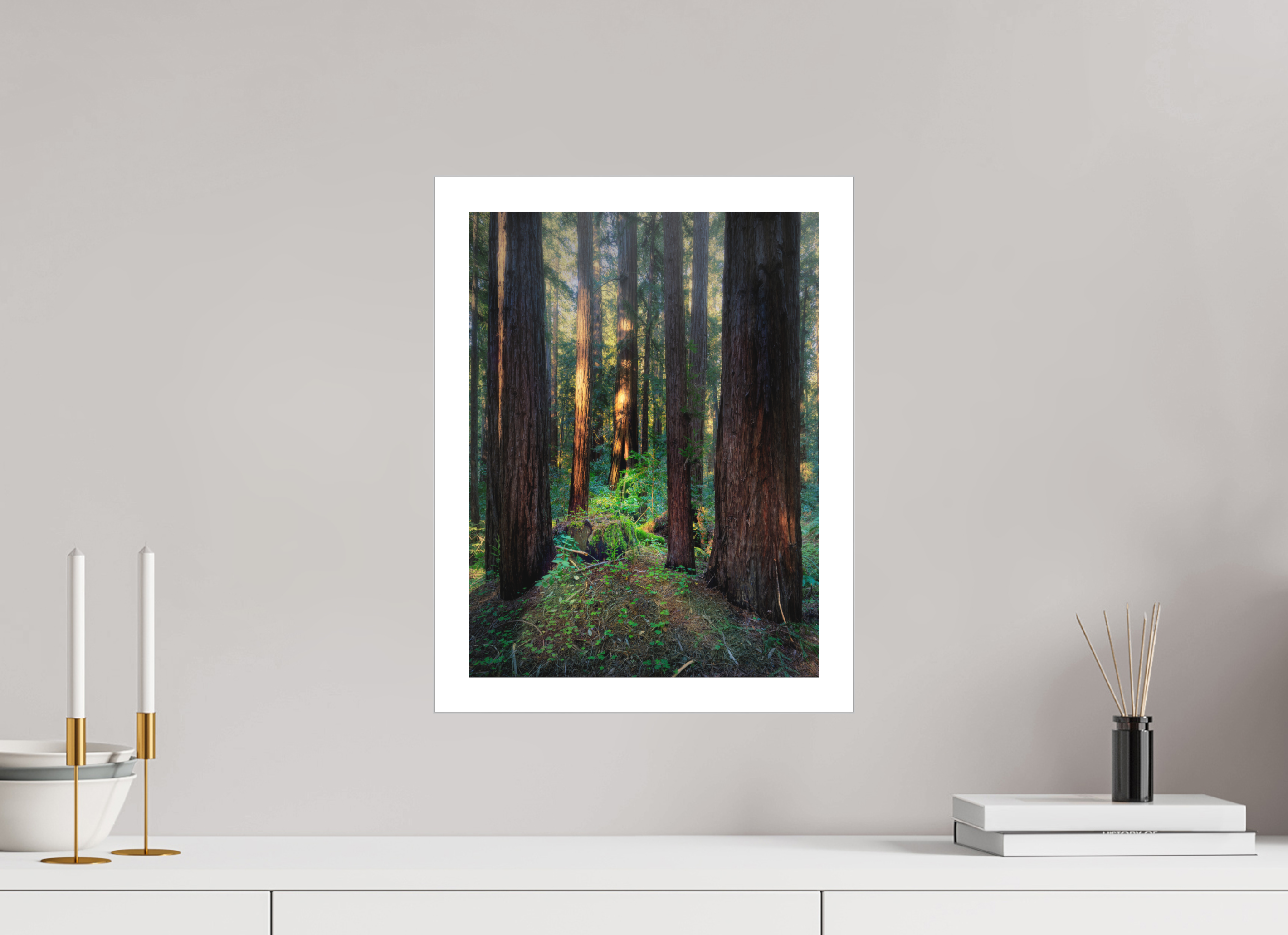 12 x 16″, Fine Art Bonded Acrylic Armstrong Woods III: The Ring Cycle