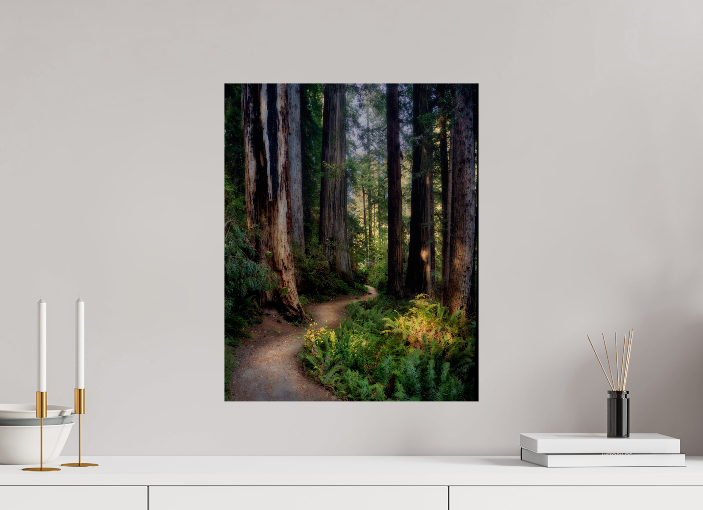 16 x 20″, Giclée Alu-Dibond Prairie Creek Redwoods Pathway