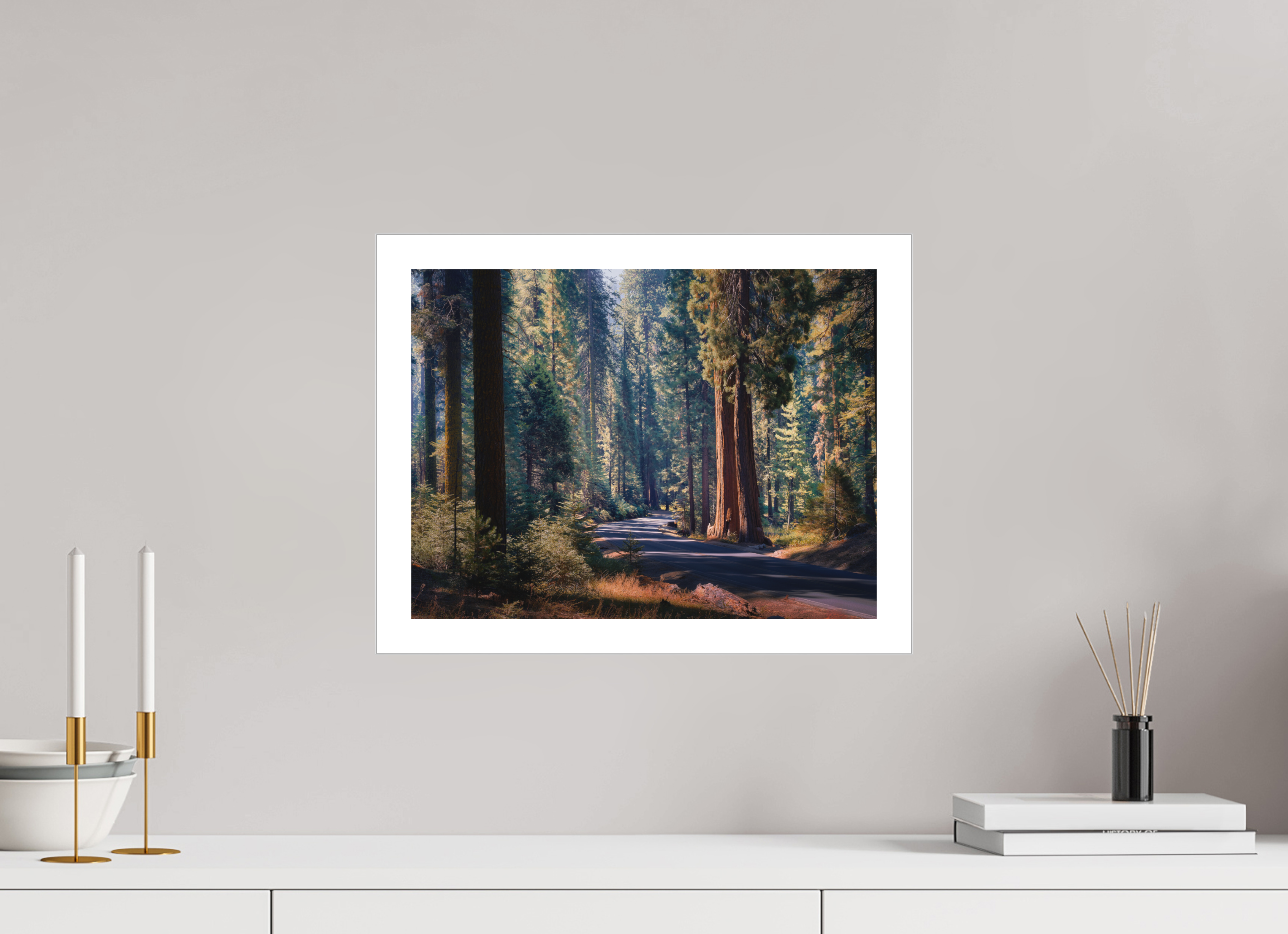 16 x 12″, Fine Art Bonded Acrylic The Generals Highway I : Sequoia National Park
