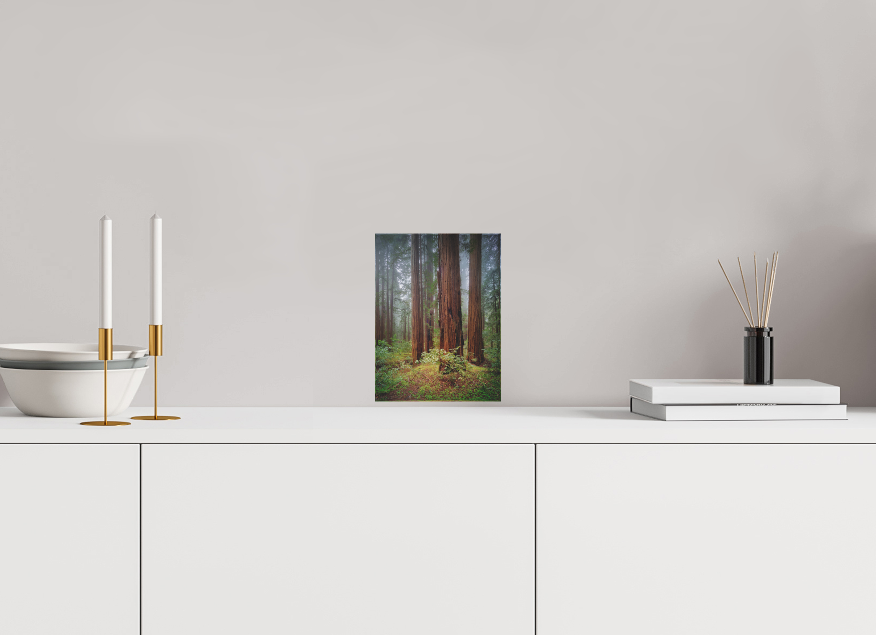 6 x 8″, Acrylic Block Gift Set Armstrong Redwoods I: Truncus Circle of Life