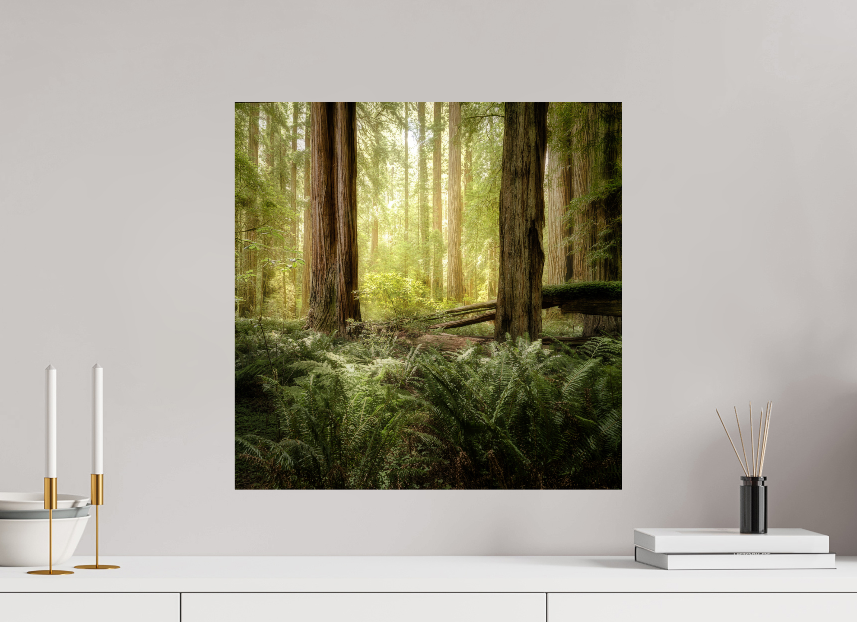 20 x 20″, Giclée Alu-Dibond Lux Armarium: Stout Grove