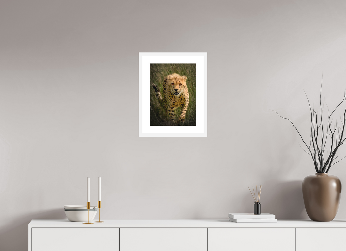 12 x 16″, Passe-Partout White Frame Stalking Cheetah