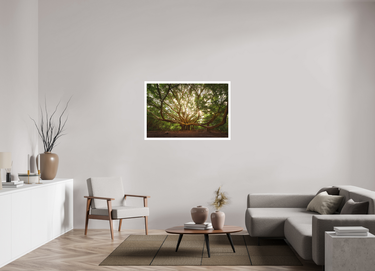 45 x 30″, Bonded Acrylic Mat + White Frame Bracchium: The Pipiwai Trail Banyan Tree