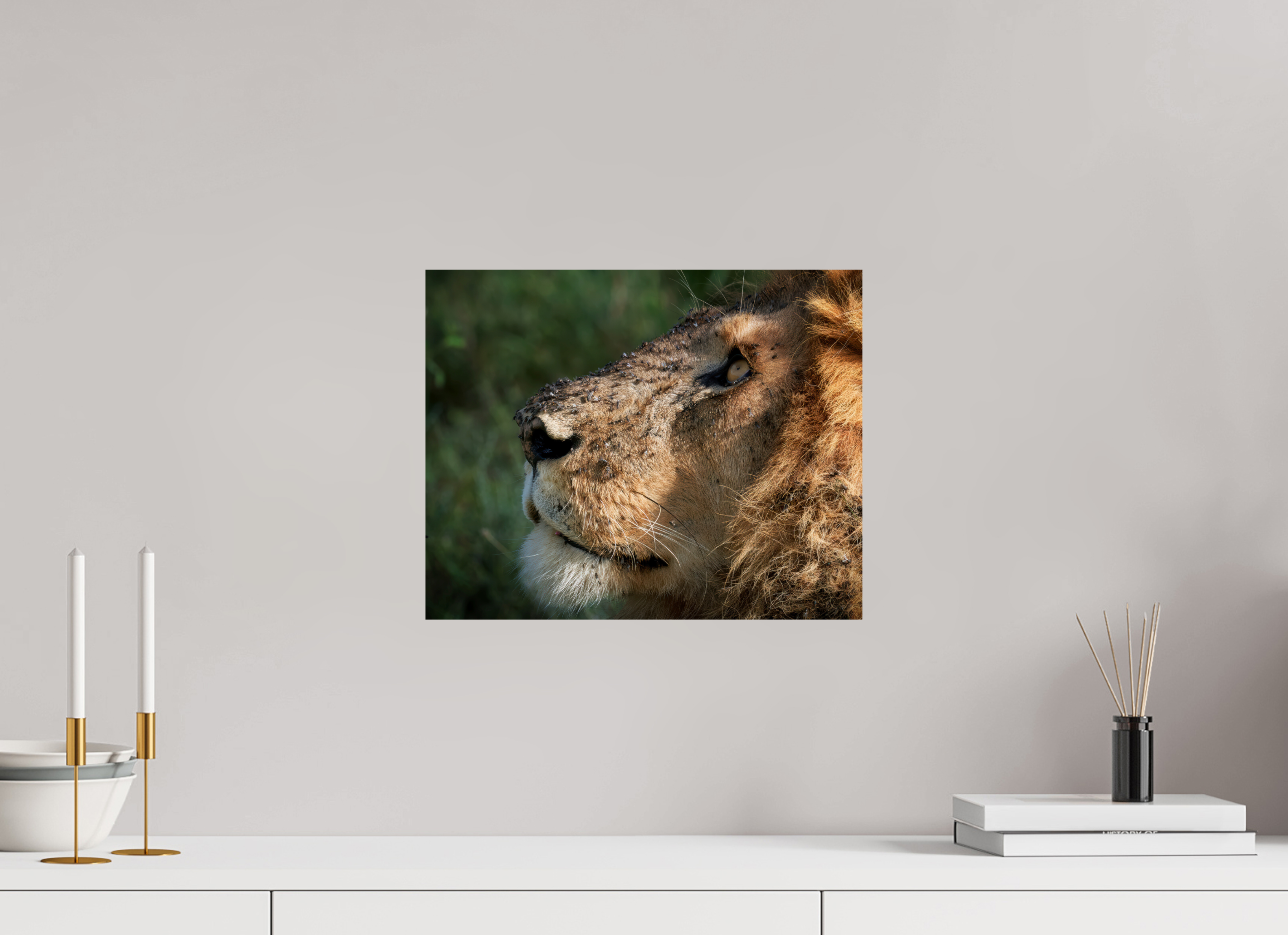 15 x 12″, Giclée Alu-Dibond The King of Most Beasts