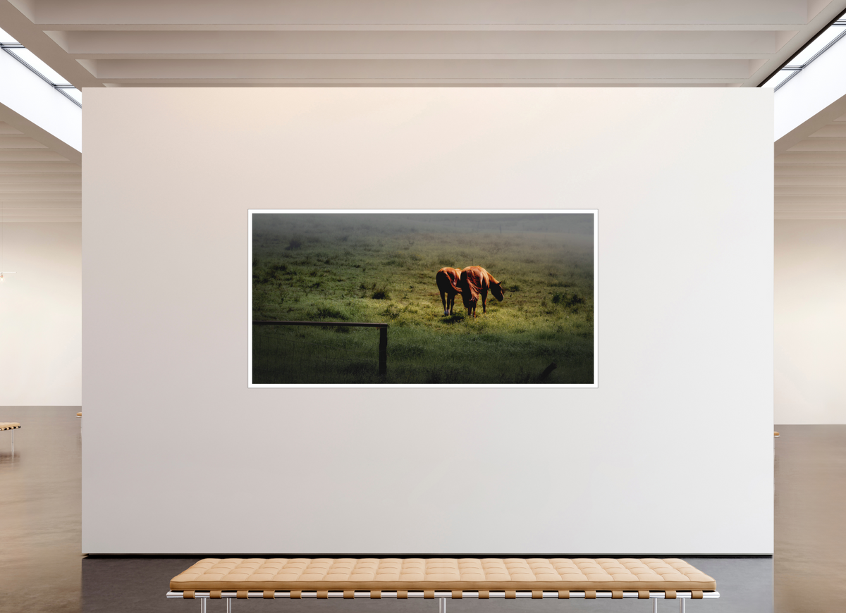 102 x 51″, Bonded Acrylic Mat + Black Frame Upcountry Maui: Horses in Mist & Light