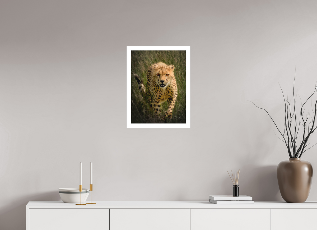 15 x 20″, Fine Art Bonded Acrylic Stalking Cheetah