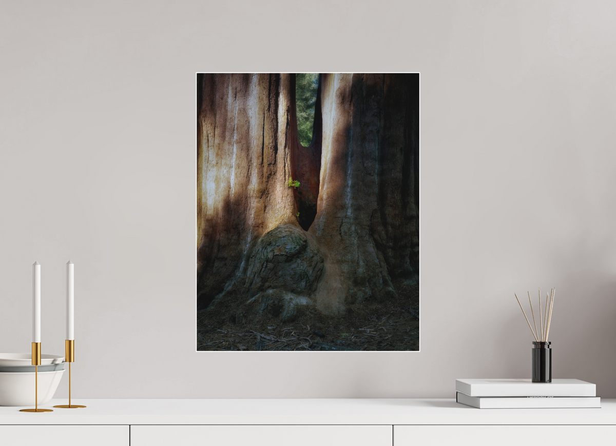 16 x 20″, Bonded Acrylic White Frame Semper iuvenis