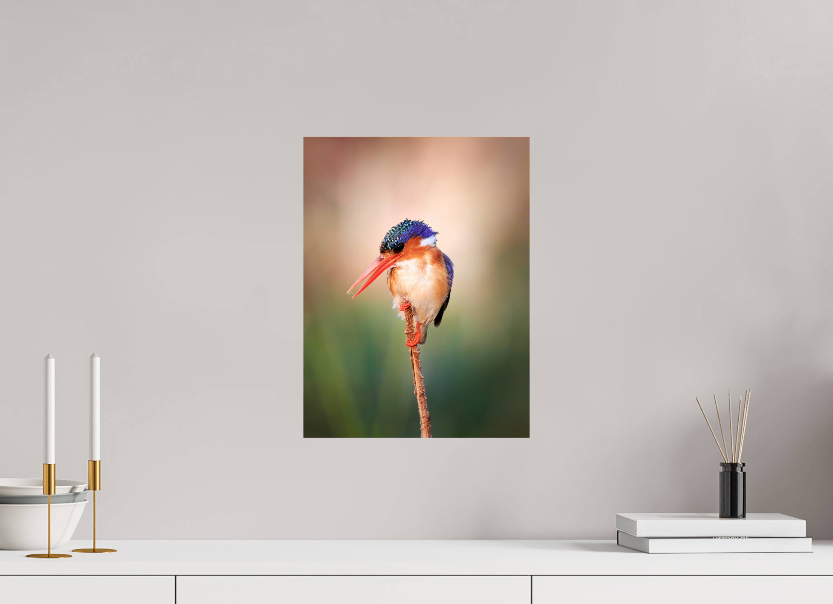 12 x 16″, Giclée Alu-Dibond Chobe River Kingfisher
