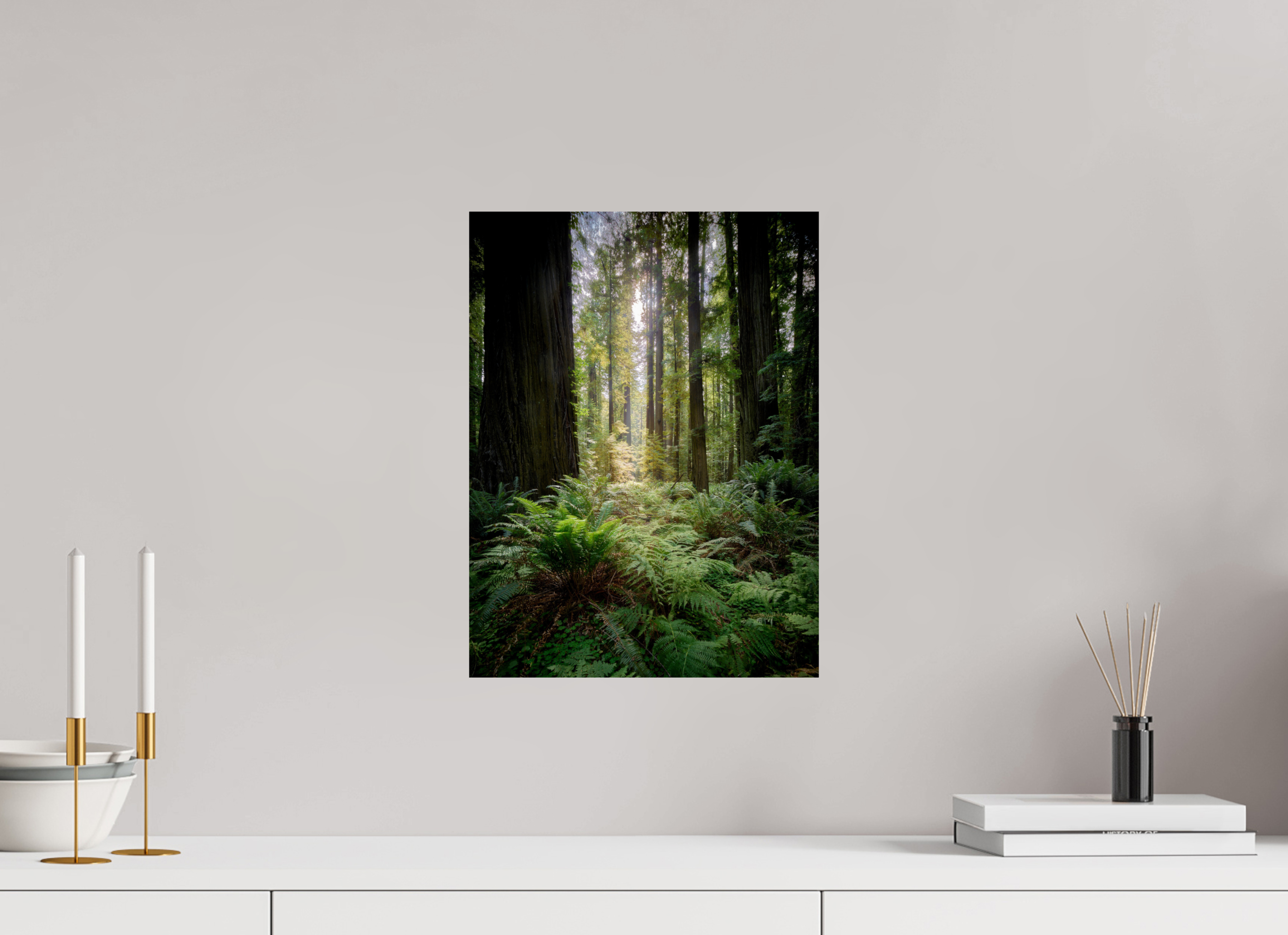 12 x 16″, Giclée Alu-Dibond Forest Light on Redwoods & Sword Ferns