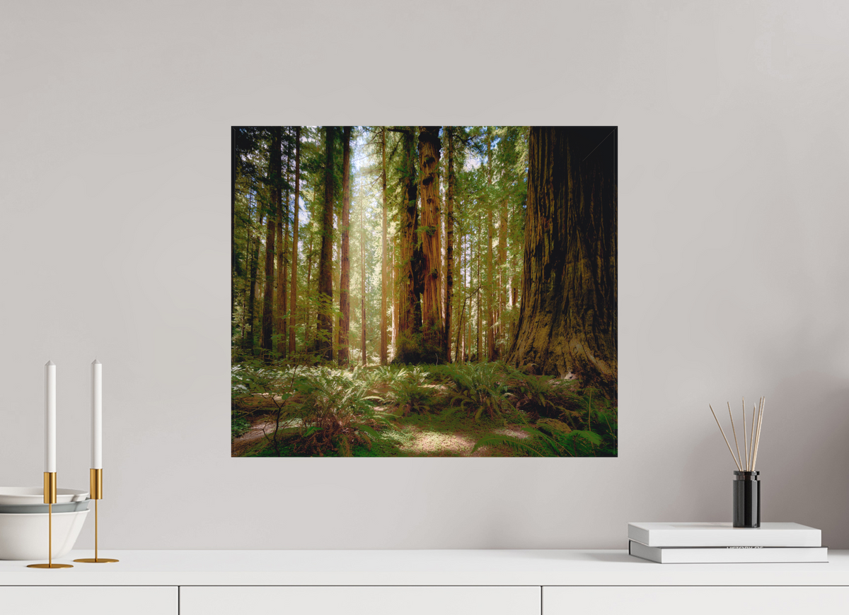 18.7 x 16″, Fine Art Textile Life & Light Beneath the Giants