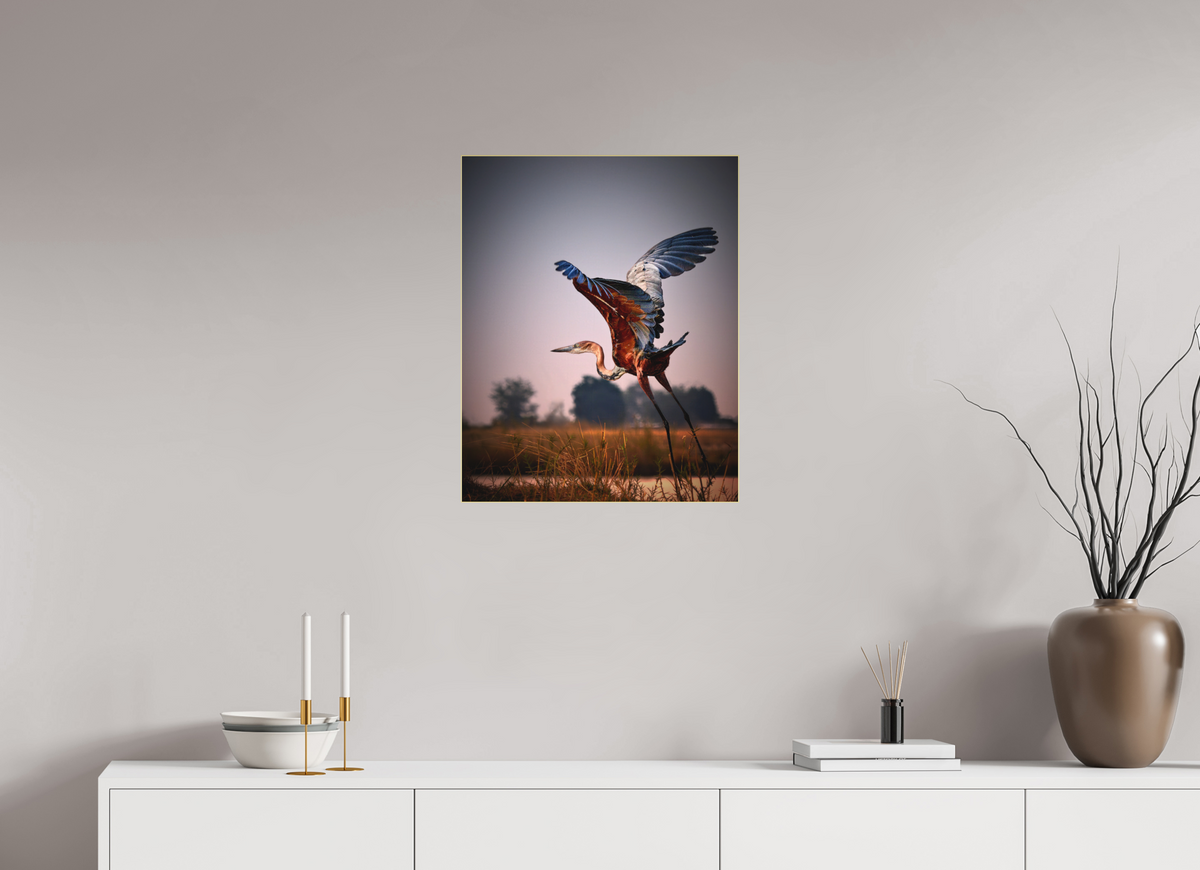 20 x 25″, Bonded Acrylic Gold Frame Goliath Heron Takes Flight on the Chobe River