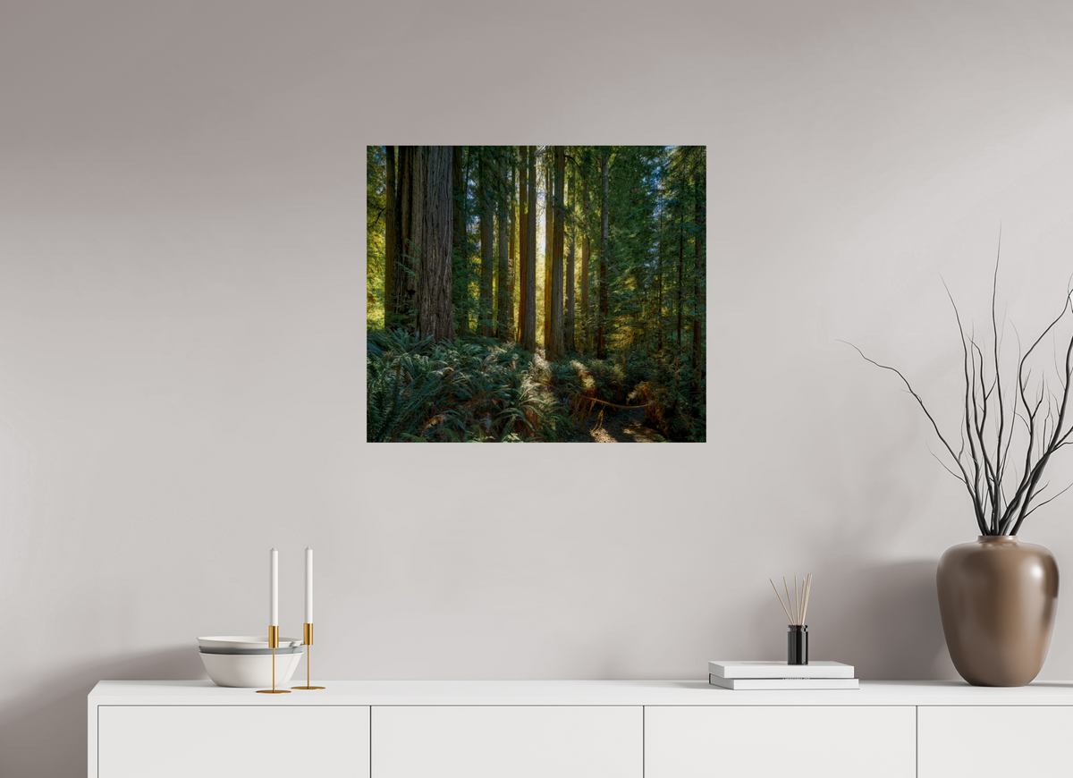 27.4 x 24″, Giclée Alu-Dibond Gateway