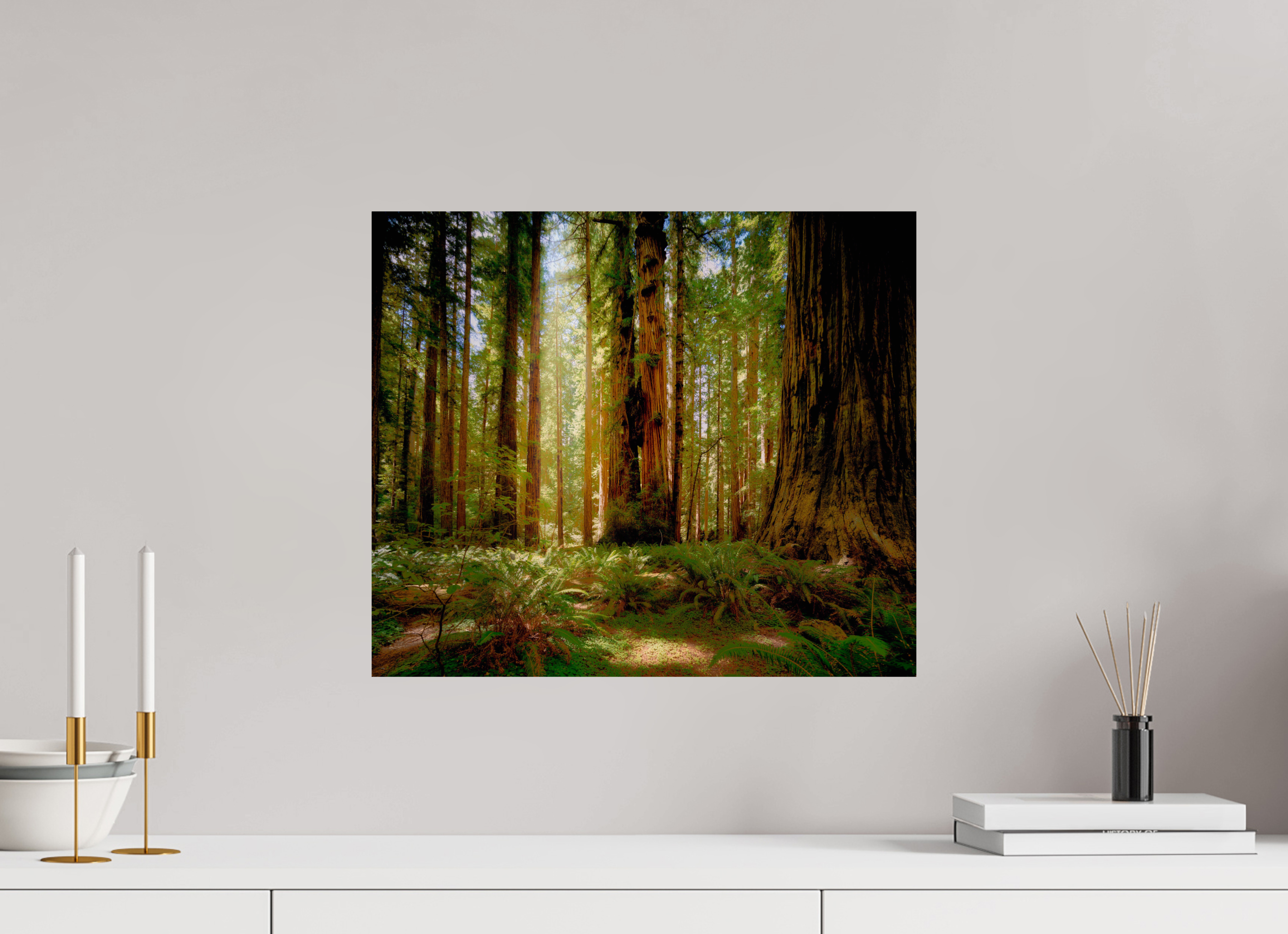 18.7 x 16″, Giclée Alu-Dibond Life & Light Beneath the Giants