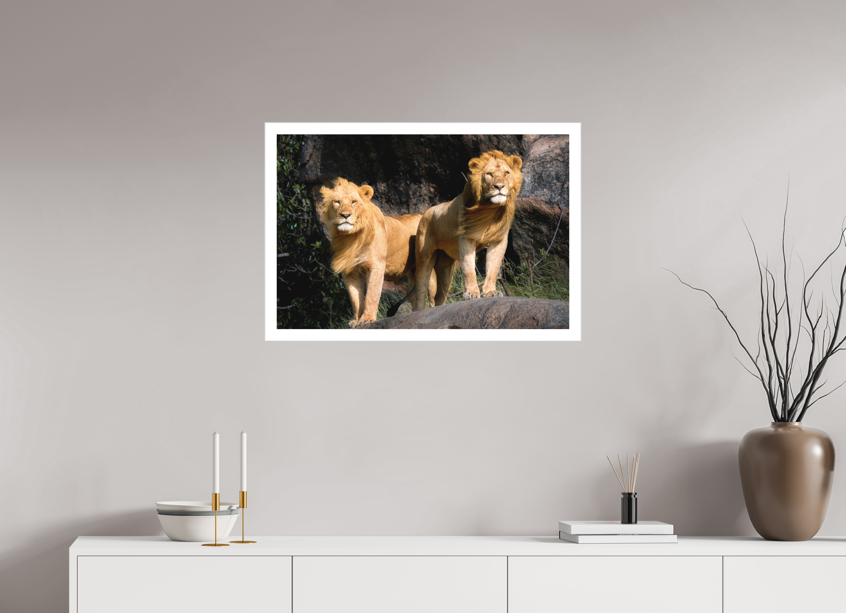 30 x 20″, Fine Art Bonded Acrylic Two Fabios