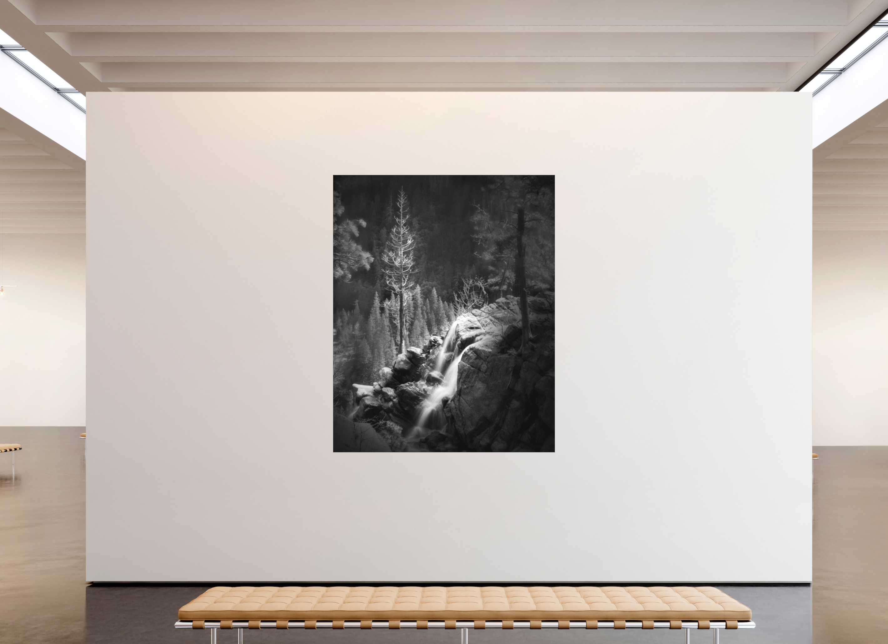 63 x 78.7″, Bonded Acrylic Black Frame Lucidum: Yosemite's Cascade Creek