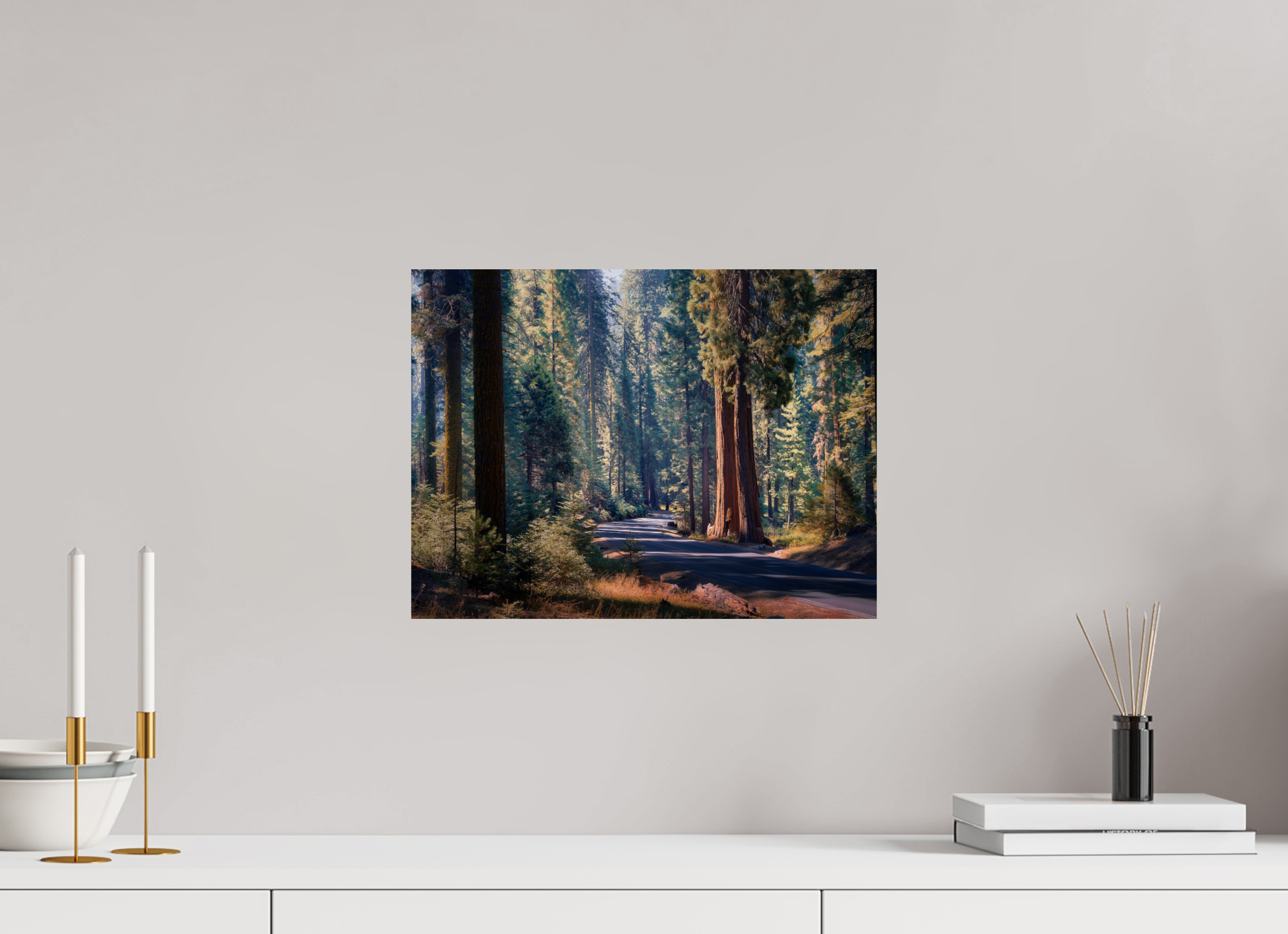 16 x 12″, Giclée Alu-Dibond The Generals Highway I : Sequoia National Park