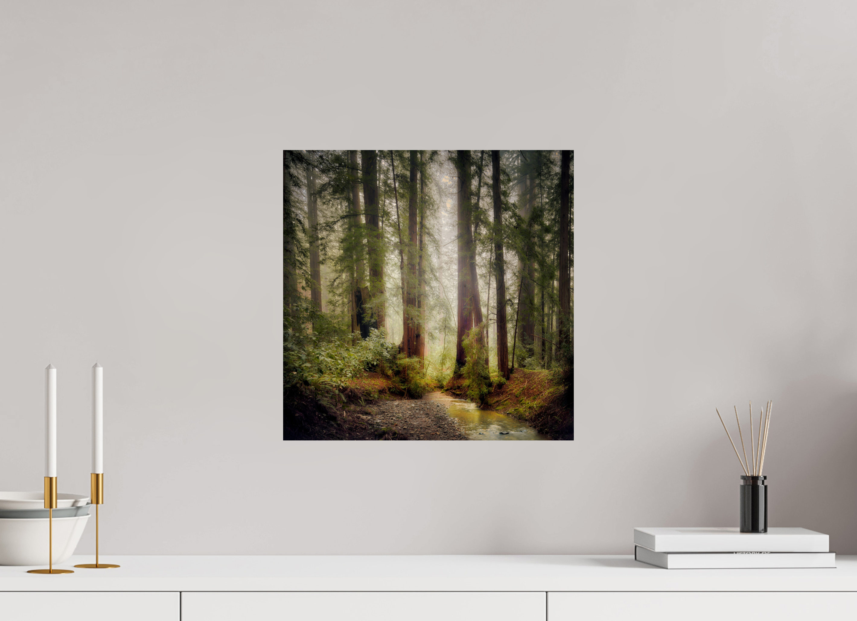 15 x 15″, Giclée Alu-Dibond Armstrong Woods IV: Lucem in Nemore