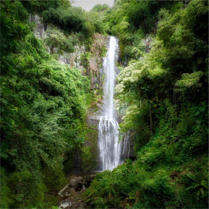 Main image Maui's Makahiku Falls