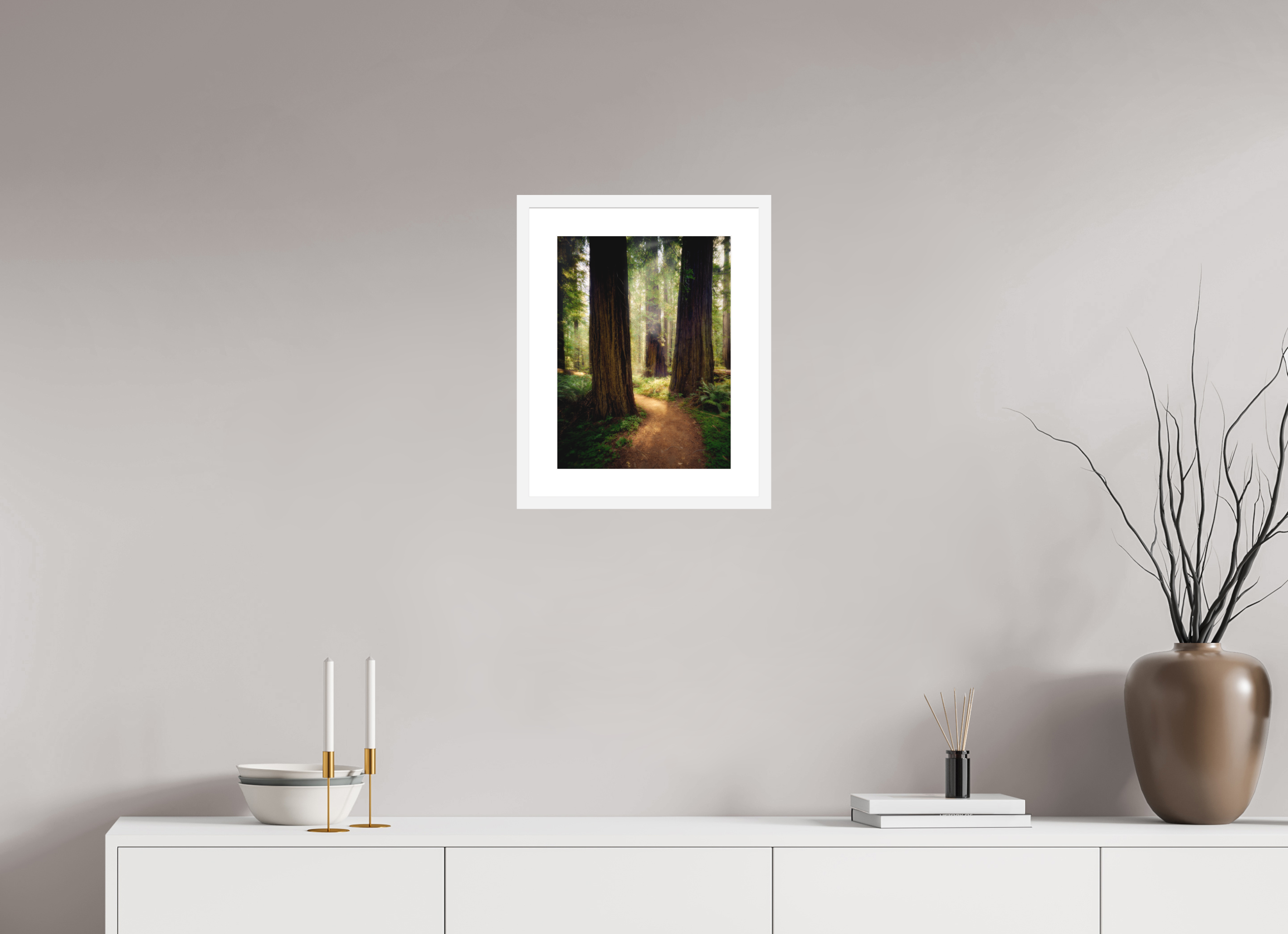12 x 16″, Passe-Partout White Frame A Path Through The Redwoods