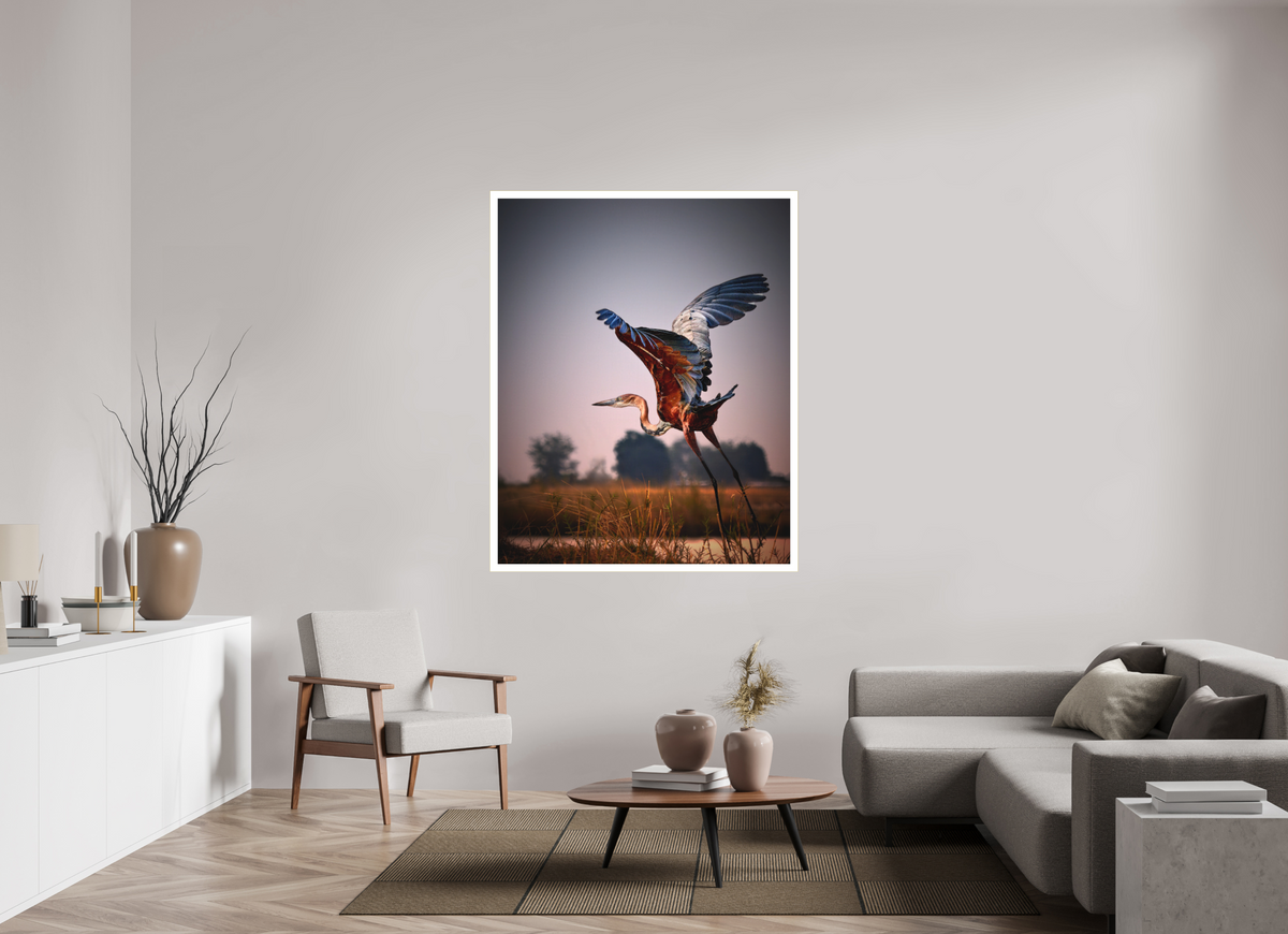 47 x 58.7″, Bonded Acrylic Mat + Gold Frame Goliath Heron Takes Flight on the Chobe River