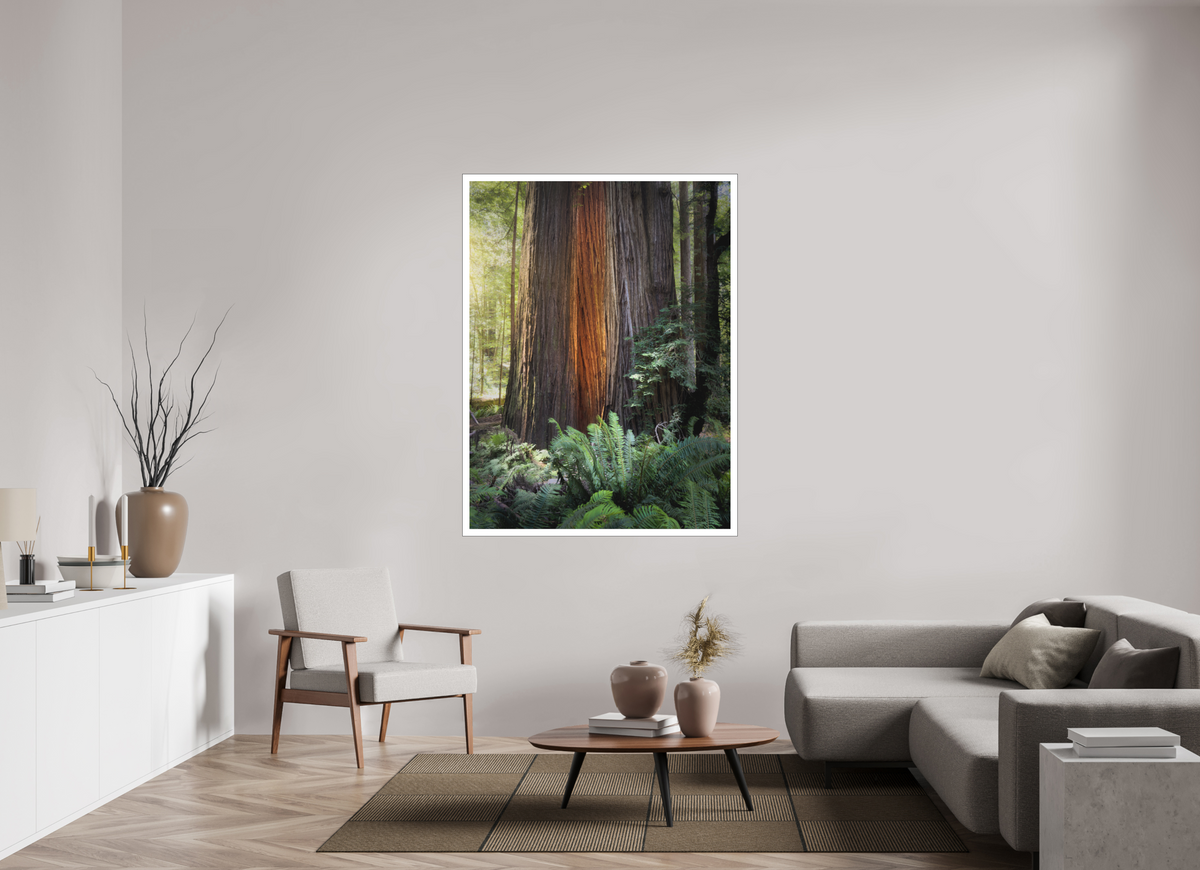 45 x 60″, Bonded Acrylic Mat + Black Frame Glow in the Tall Trees Grove