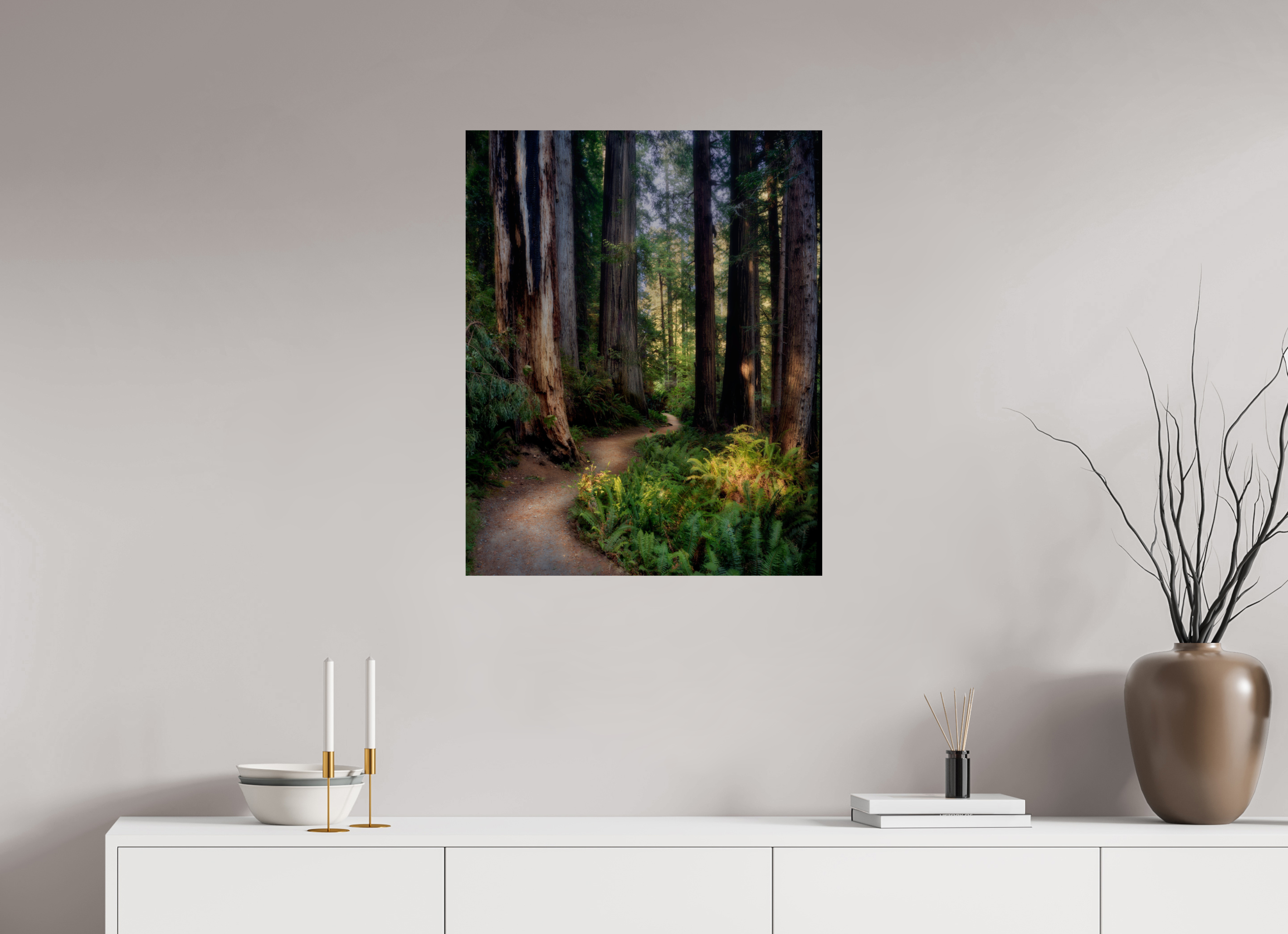 24 x 30″, Giclée Alu-Dibond Prairie Creek Redwoods Pathway