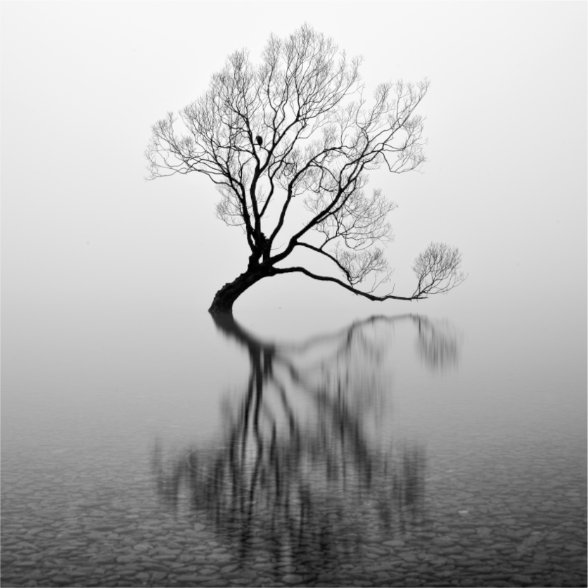 Main image Wanaka I: Rich Minimalism