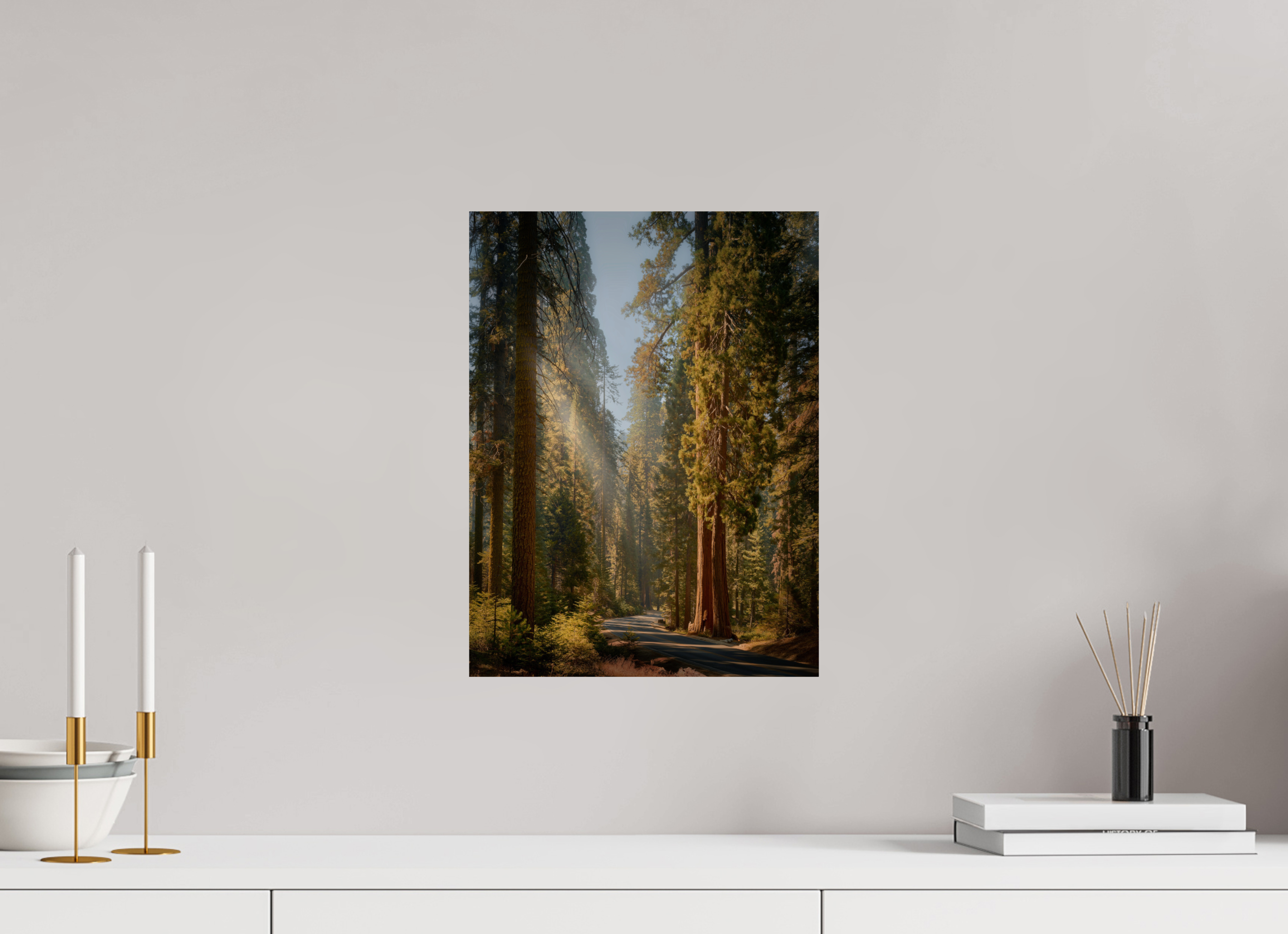 12 x 16″, Giclée Alu-Dibond The Generals Highway II: Sequoia National Park