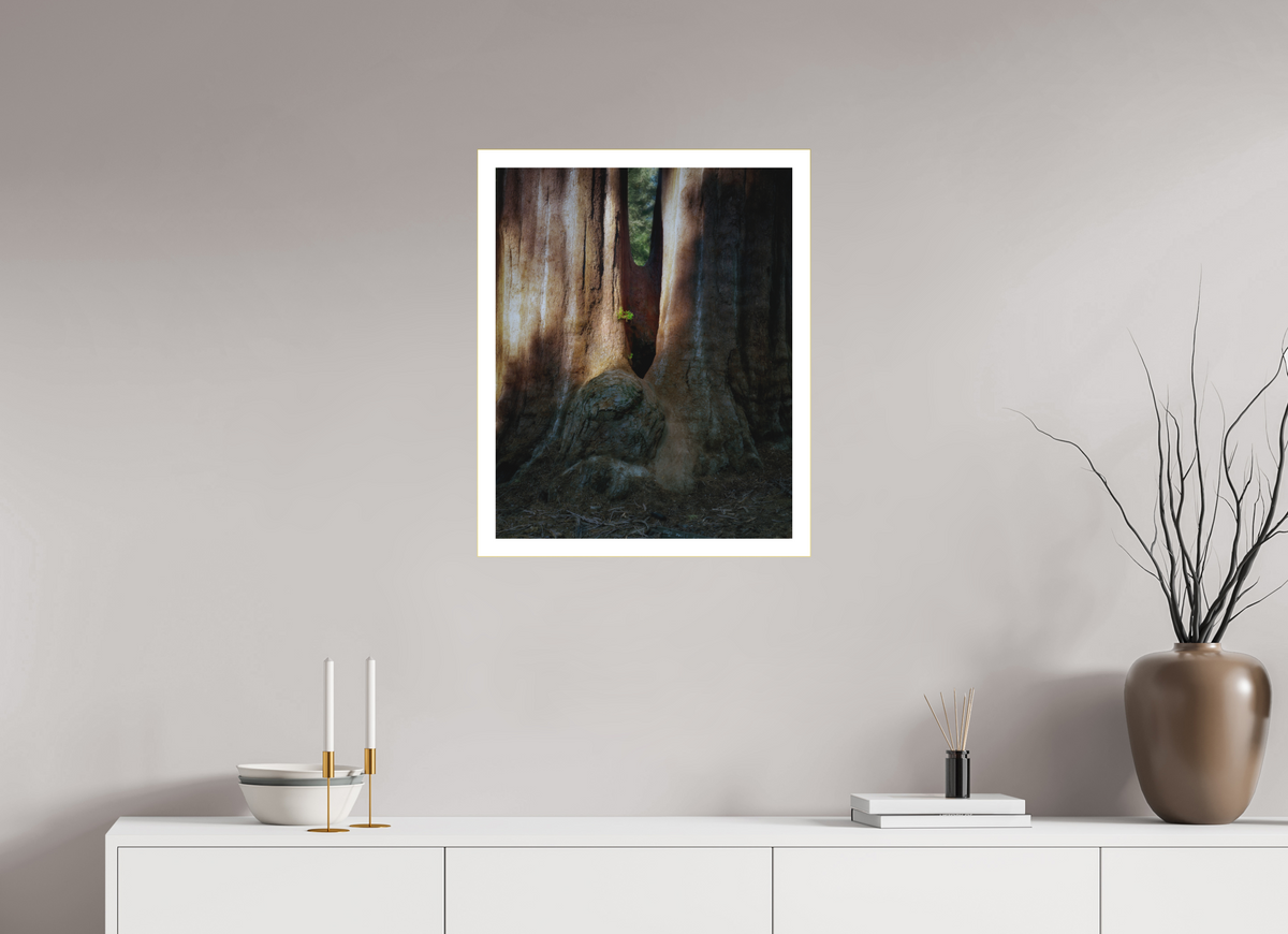 20 x 25″, Bonded Acrylic Mat + Gold Frame Semper iuvenis