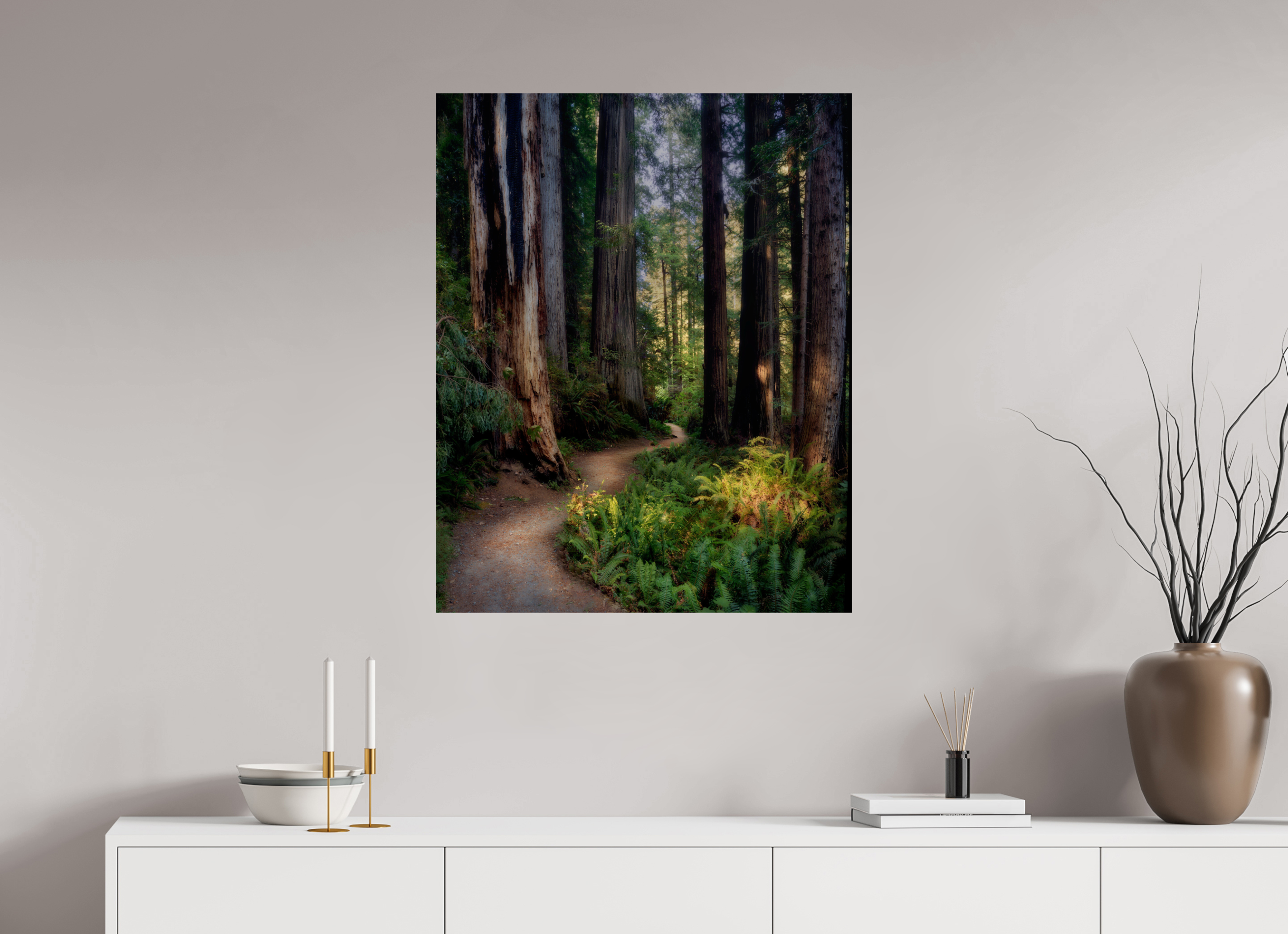 28 x 35″, Giclée Alu-Dibond Prairie Creek Redwoods Pathway