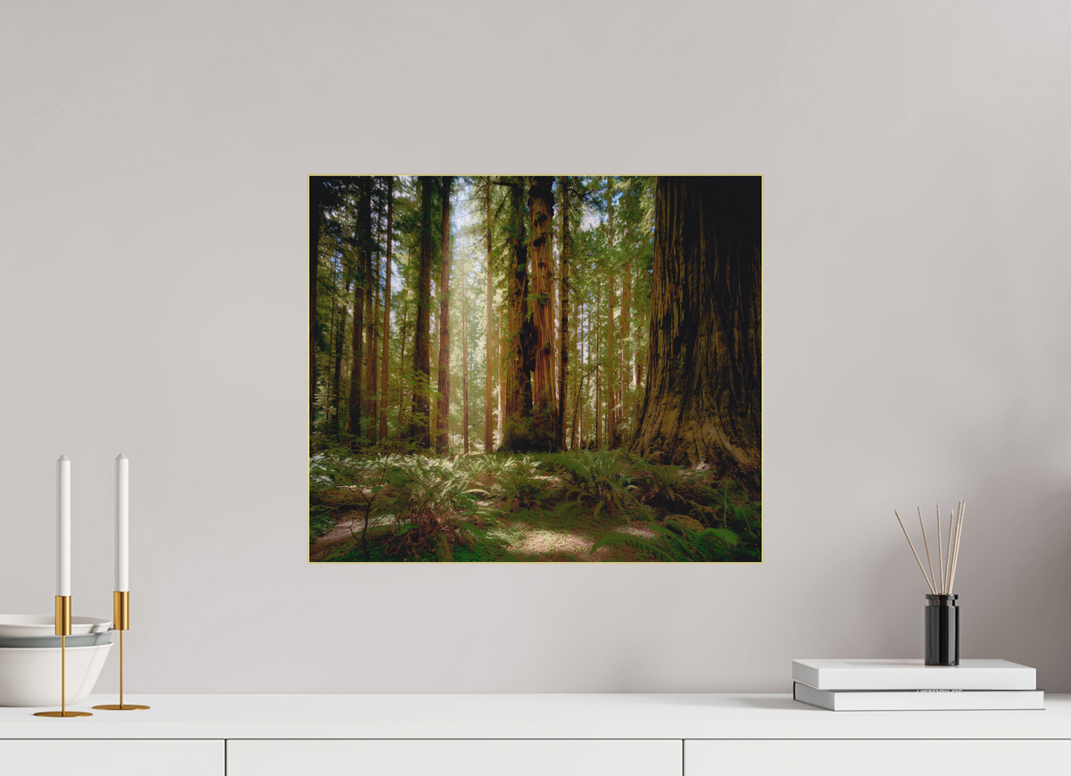 18.7 x 16″, Bonded Acrylic Gold Frame Life & Light Beneath the Giants