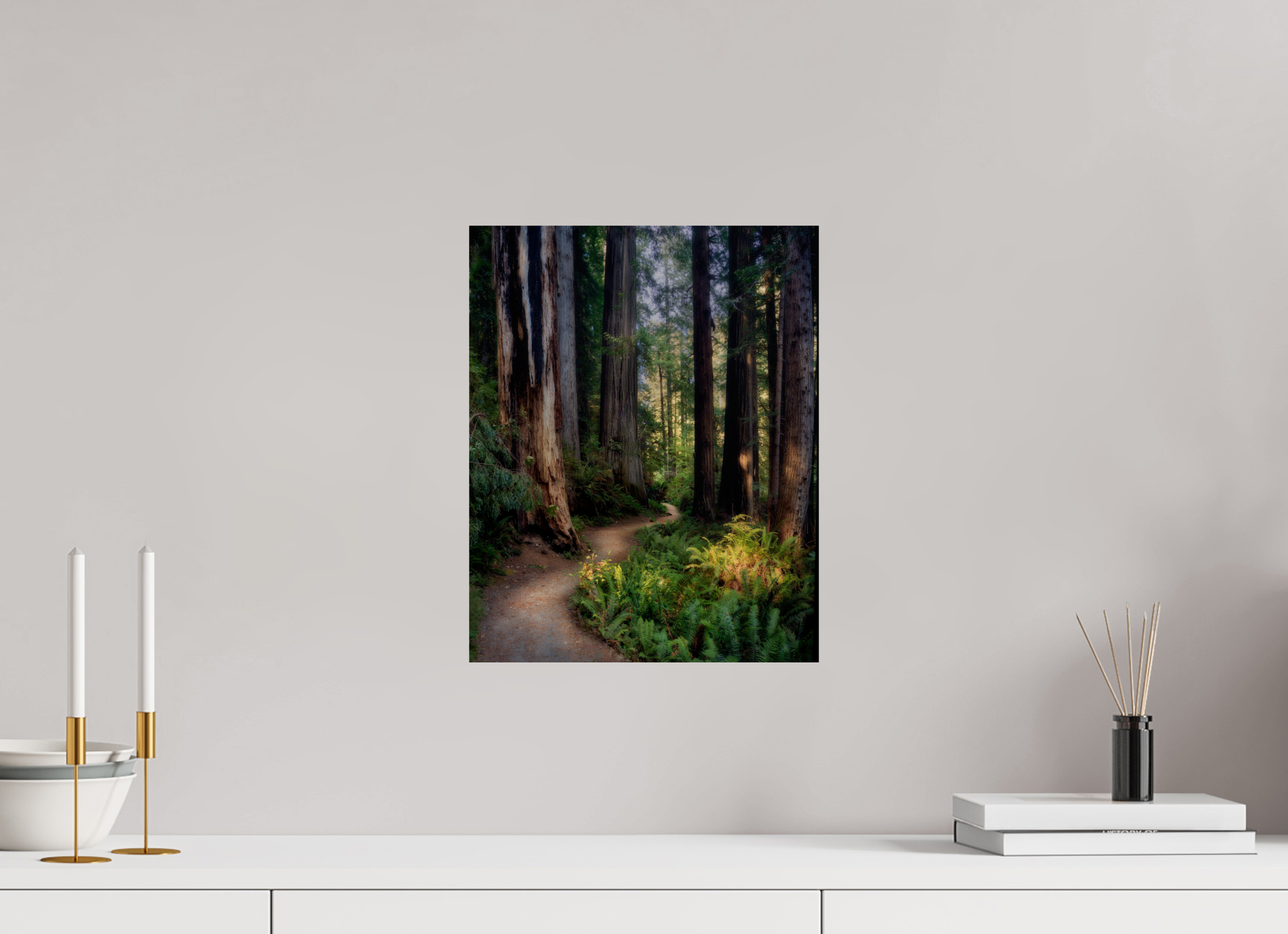 12 x 15″, Giclée Alu-Dibond Prairie Creek Redwoods Pathway