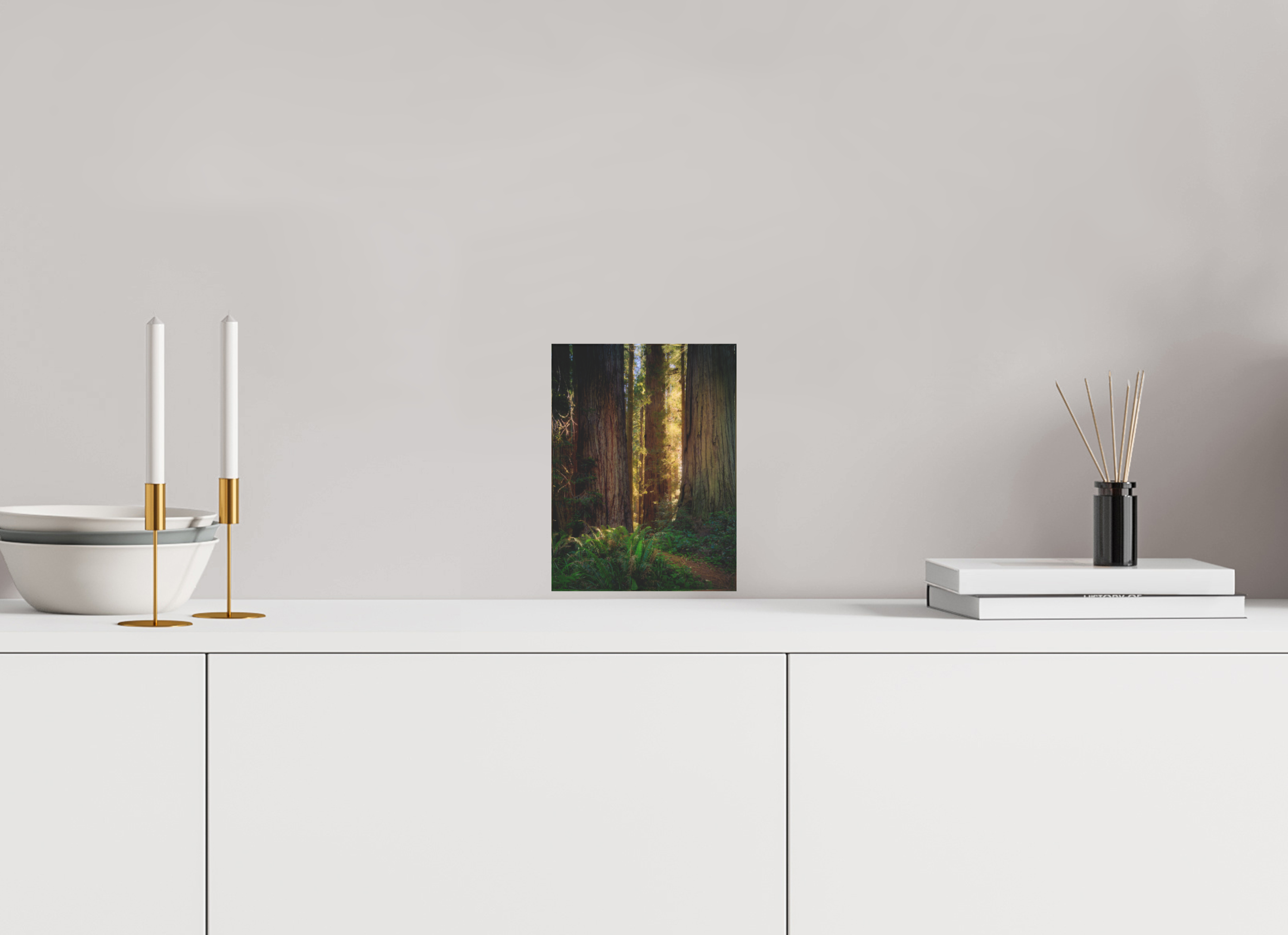 6 x 8″, Acrylic Block Gift Set Novaculata: Back to the Redwoods
