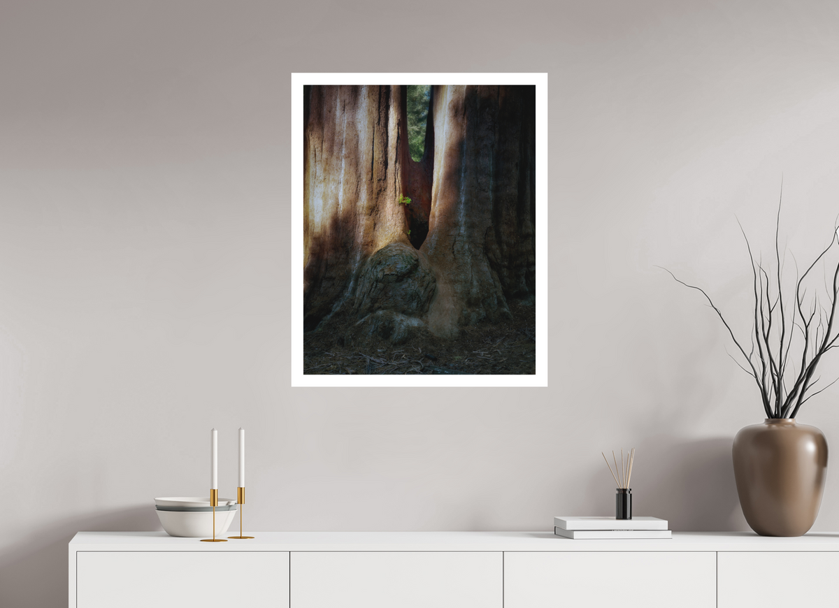 24 x 30″, Bonded Acrylic Mat + White Frame Semper iuvenis