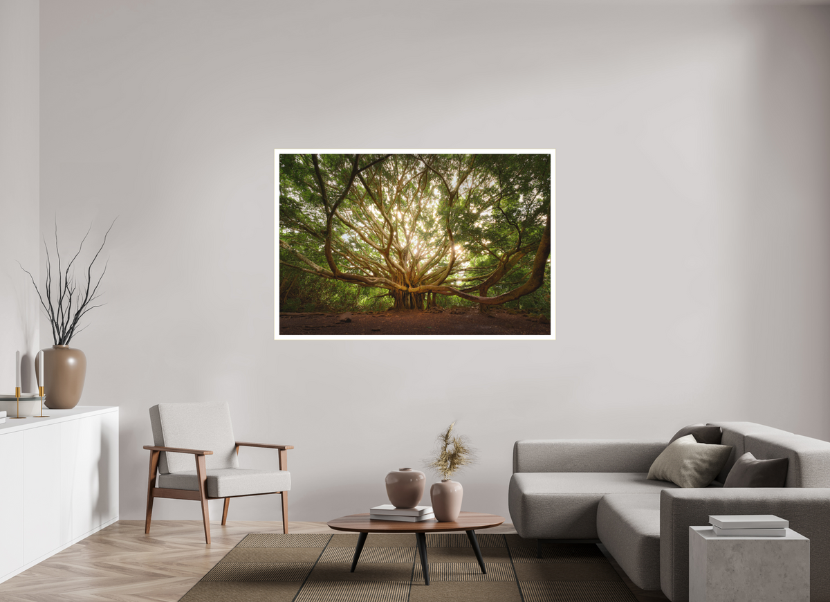 66 x 44″, Bonded Acrylic Mat + Gold Frame Bracchium: The Pipiwai Trail Banyan Tree