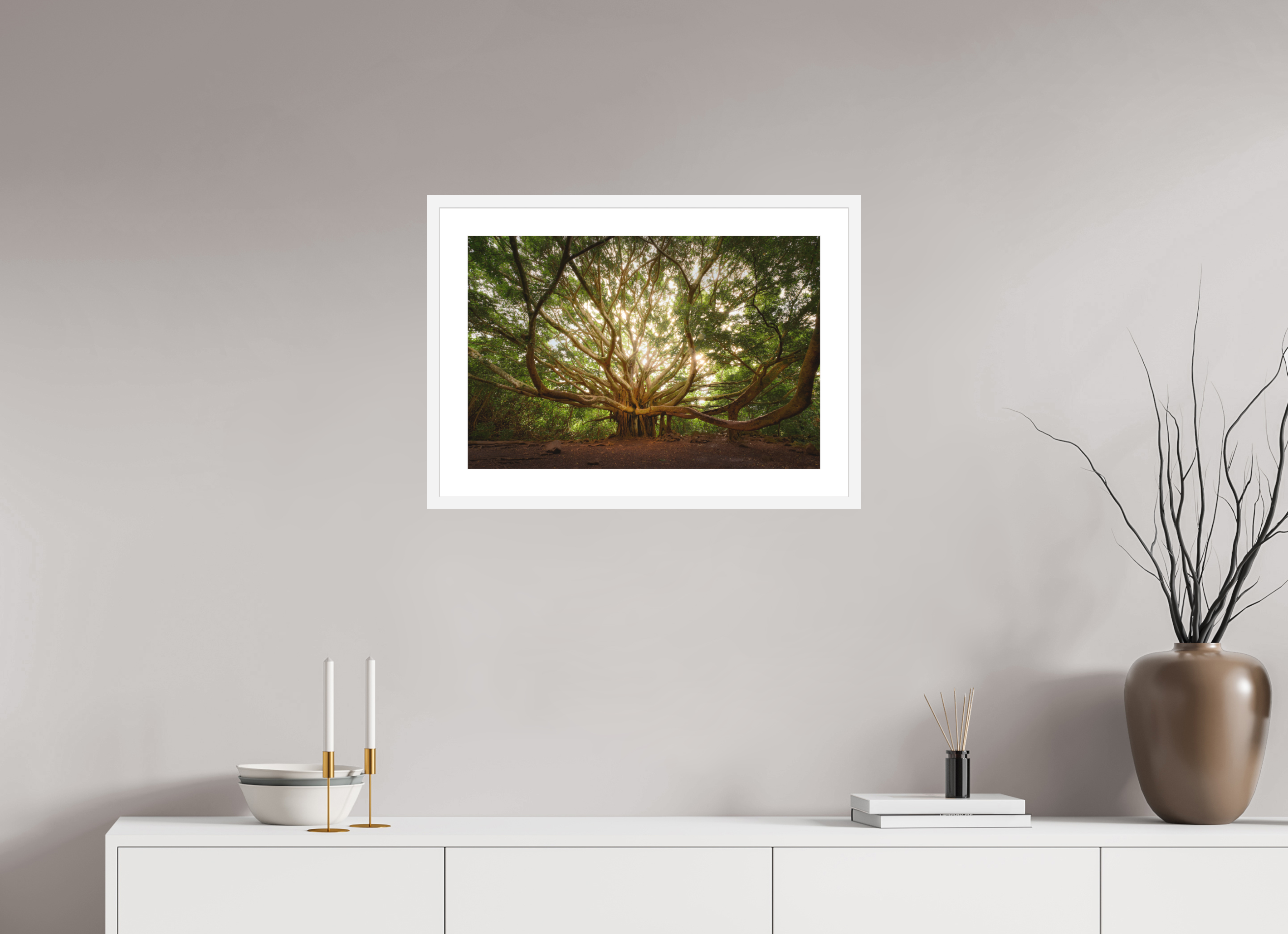 24 x 16″, Passe-Partout White Frame Bracchium: The Pipiwai Trail Banyan Tree